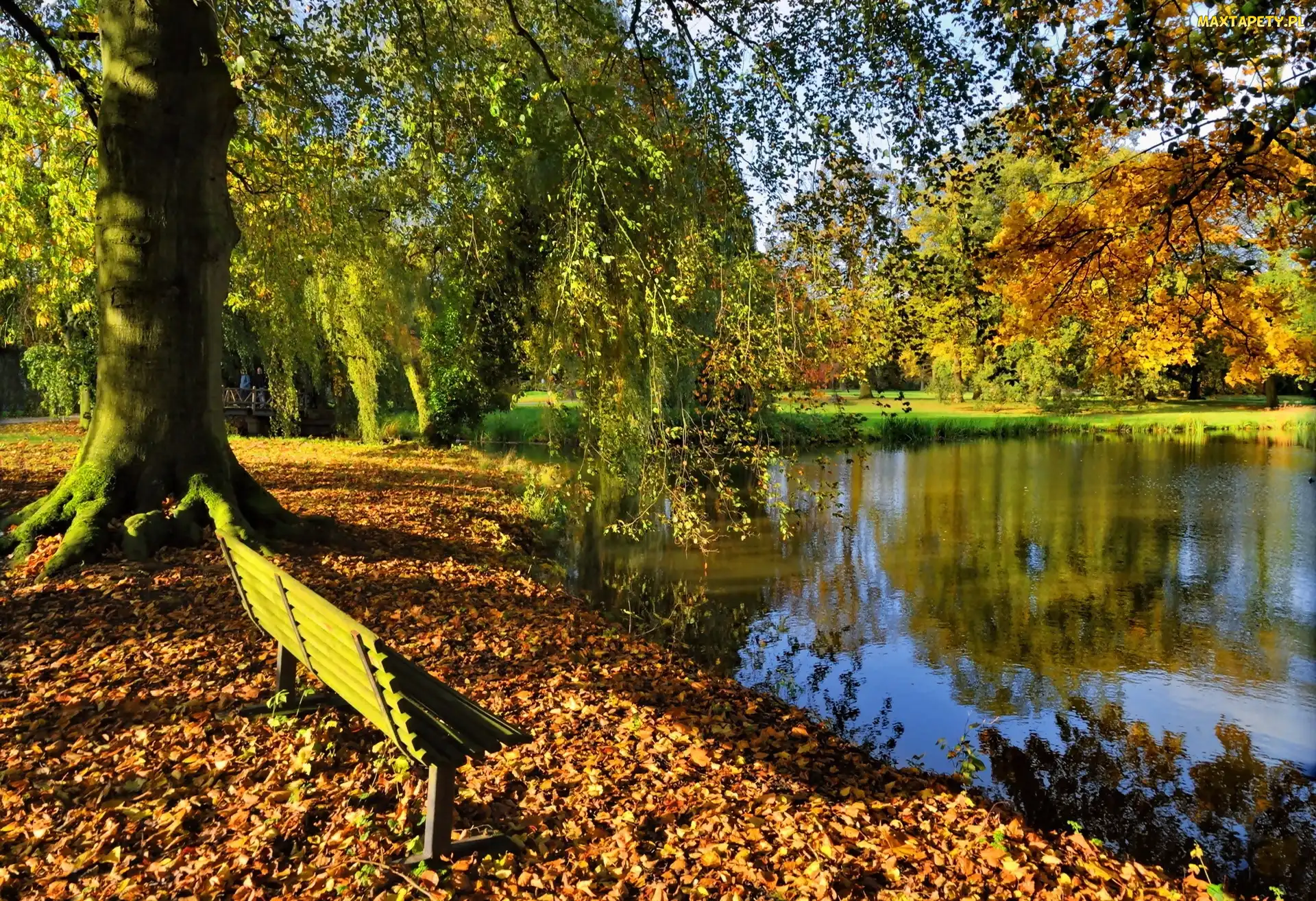 Ławka, Staw, Jesień, Park