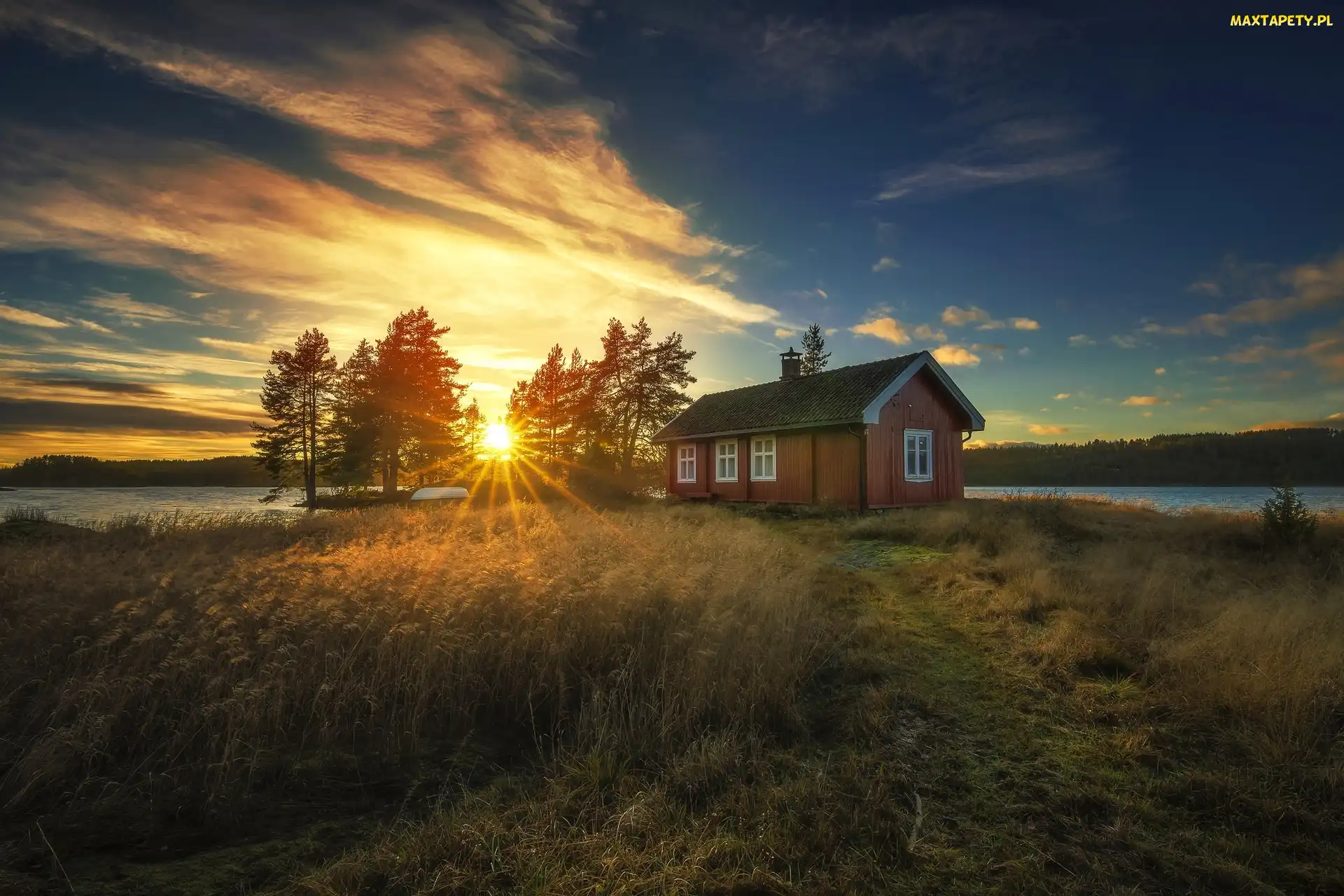 Norwegia, Ringerike, Drzewa, Zachód Słońca, Dom, Trzciny, Jezioro