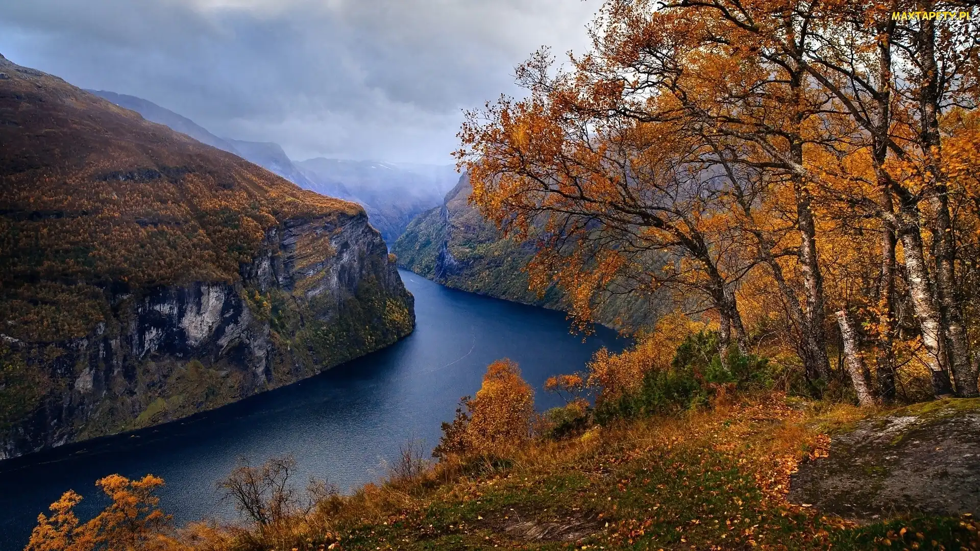 Fiord Geirangerfjorden, Norwegia, Drzewa, Jesień, Góry
