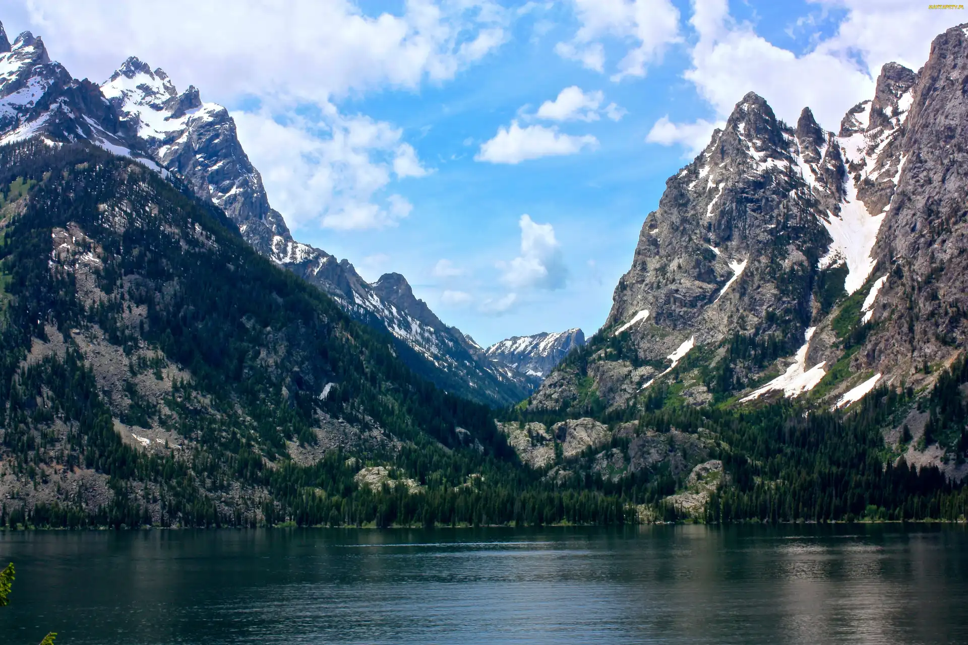 Góry, Jezioro, Moose, USA, Park, Jenny Lake, Wyoming