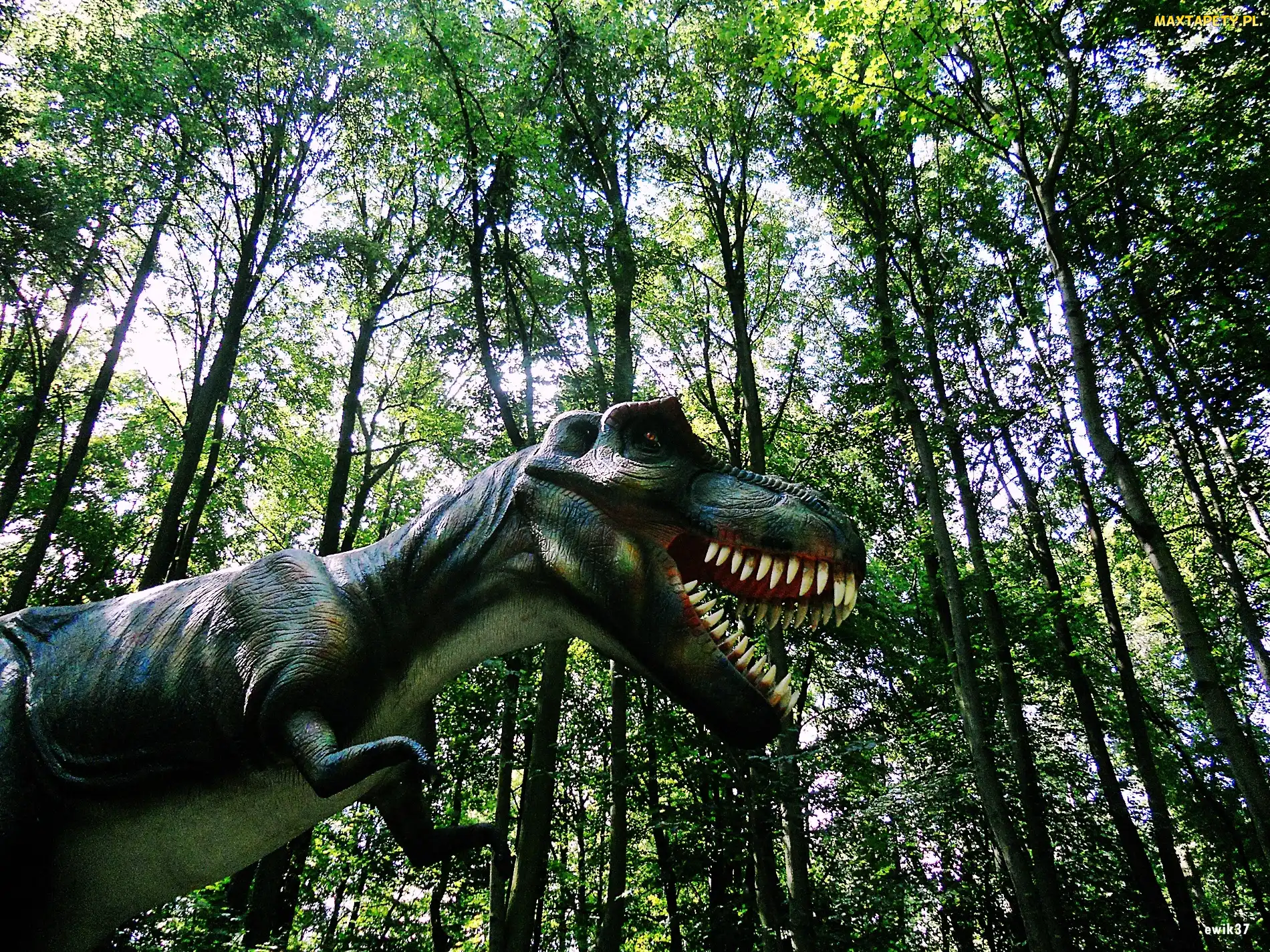 Drzewa, Dinozaur, Las