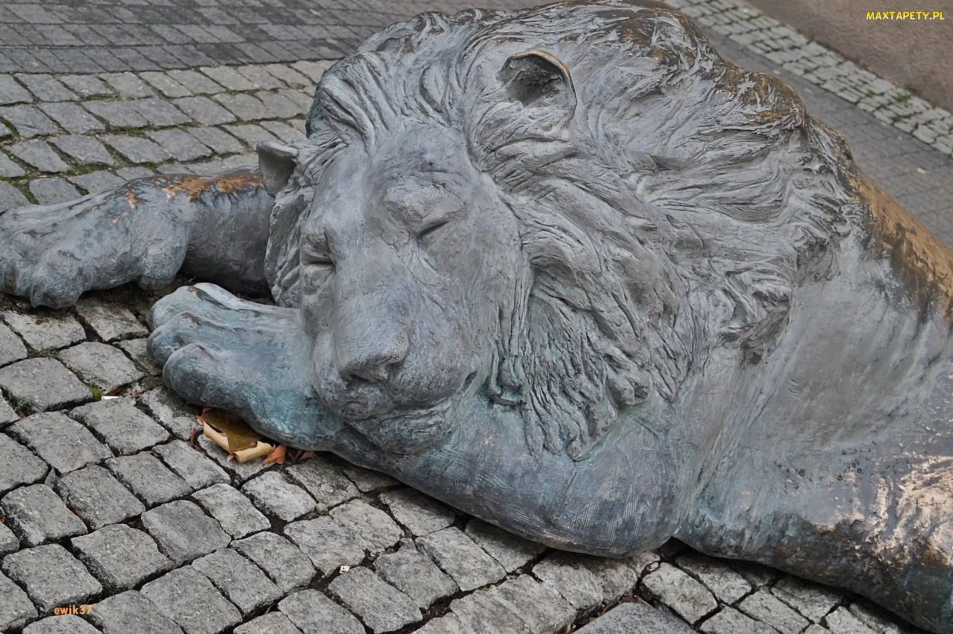 Lew, Posąg, Gdańsk