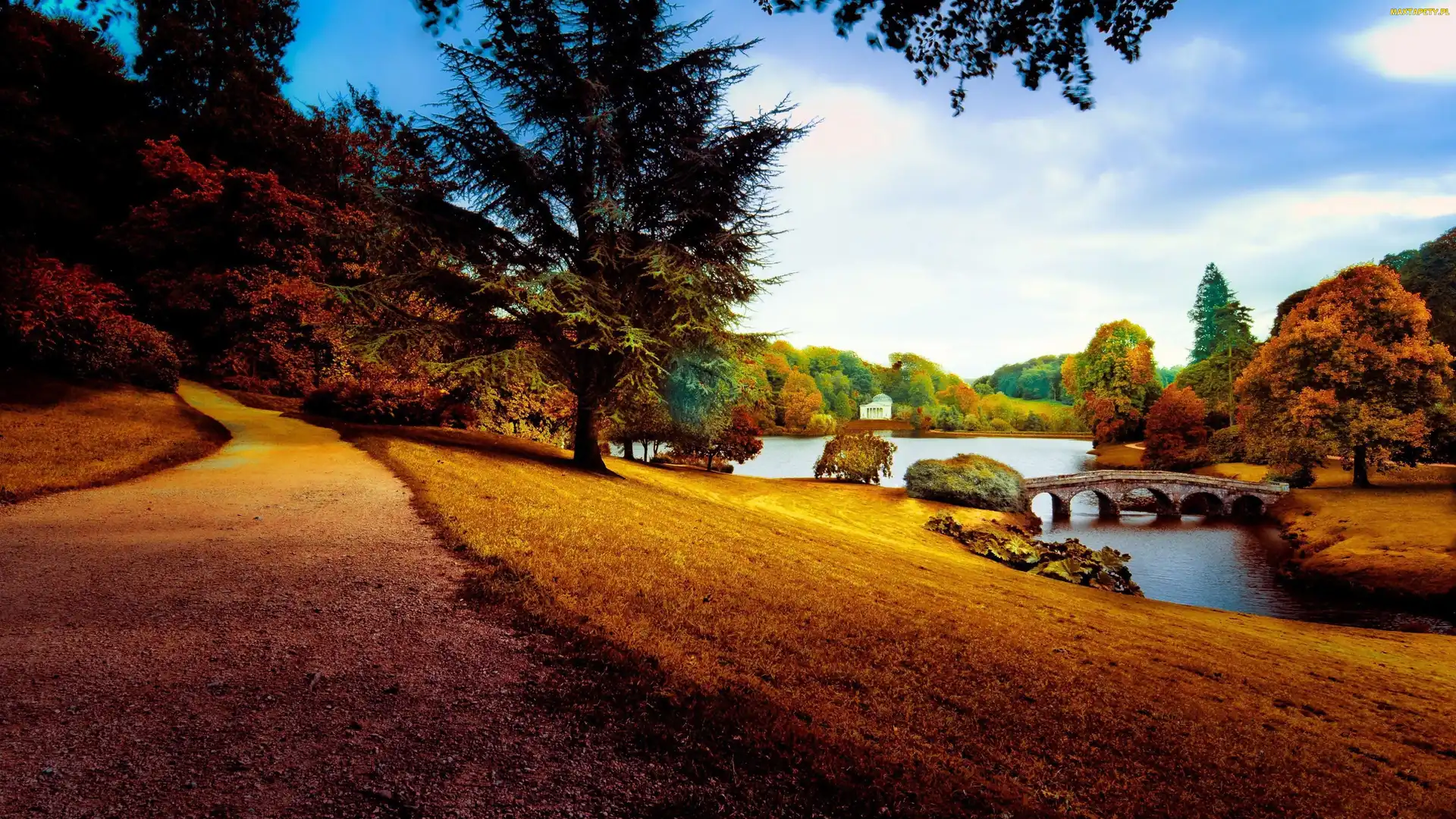 Jesień, Staw, Park