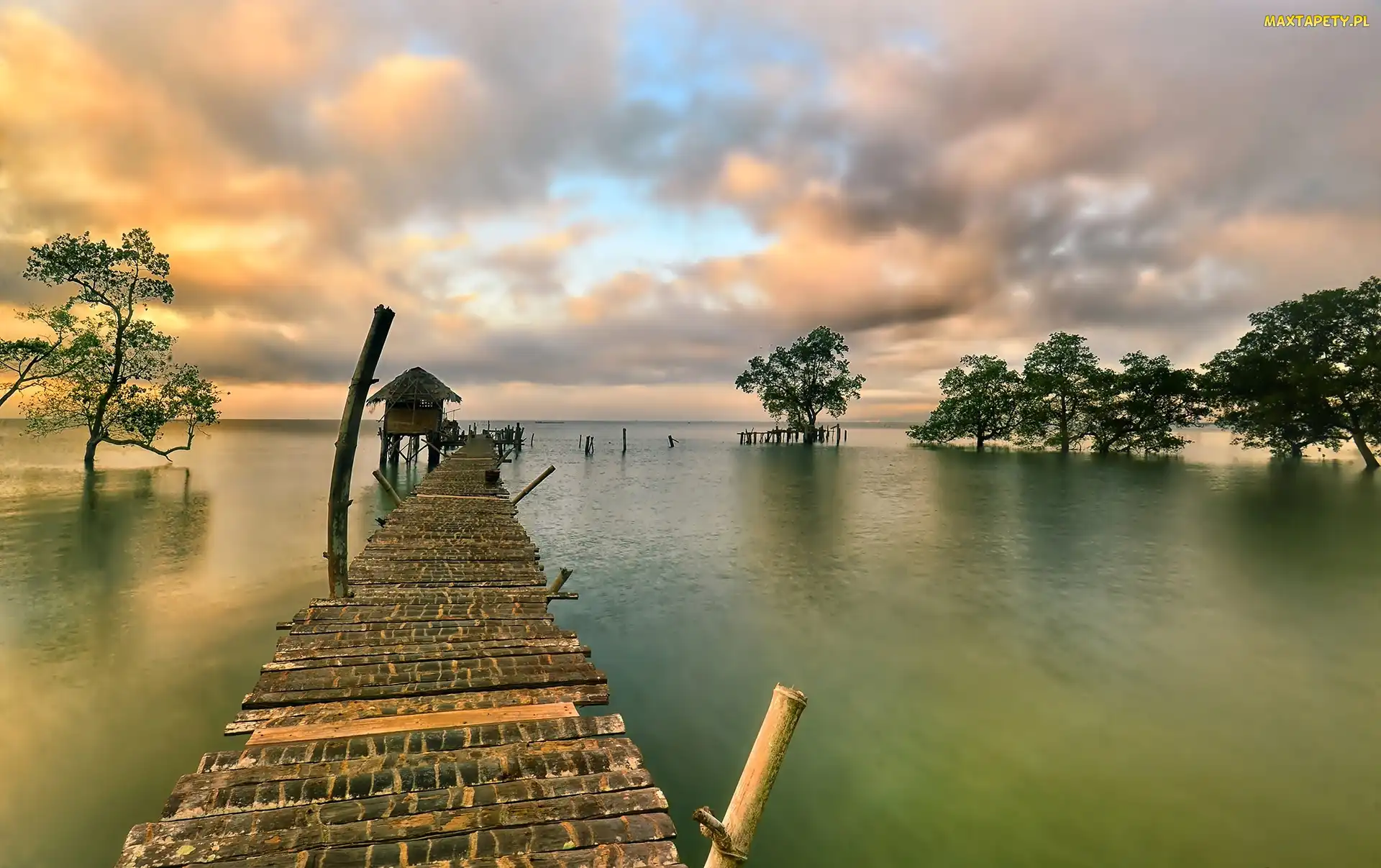 Jezioro, Pomost, Drzewa