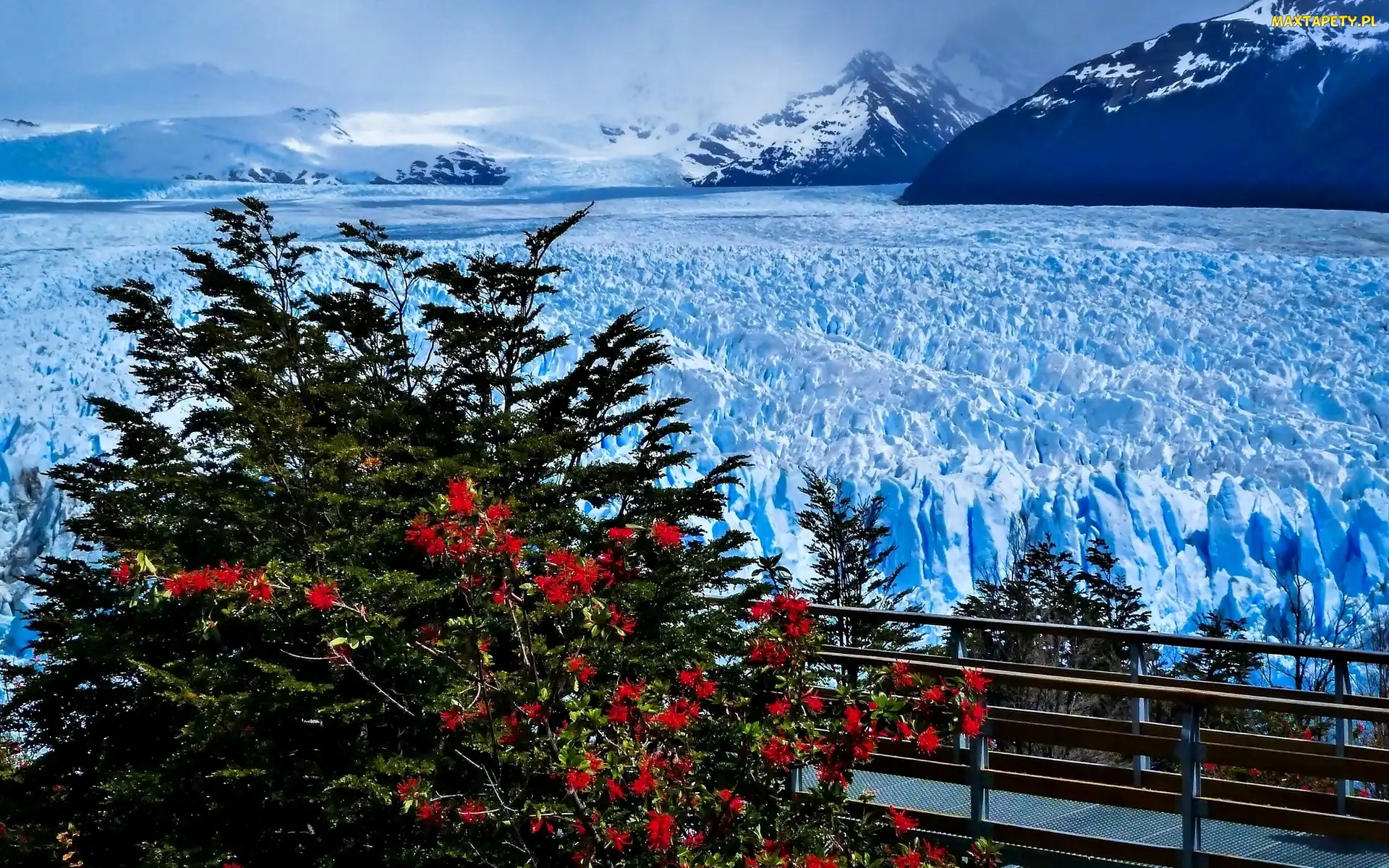 Argentyna, Prowincja Santa Cruz, Lodowiec, Zima, Perito Moreno, Park Narodowy Los Glaciares