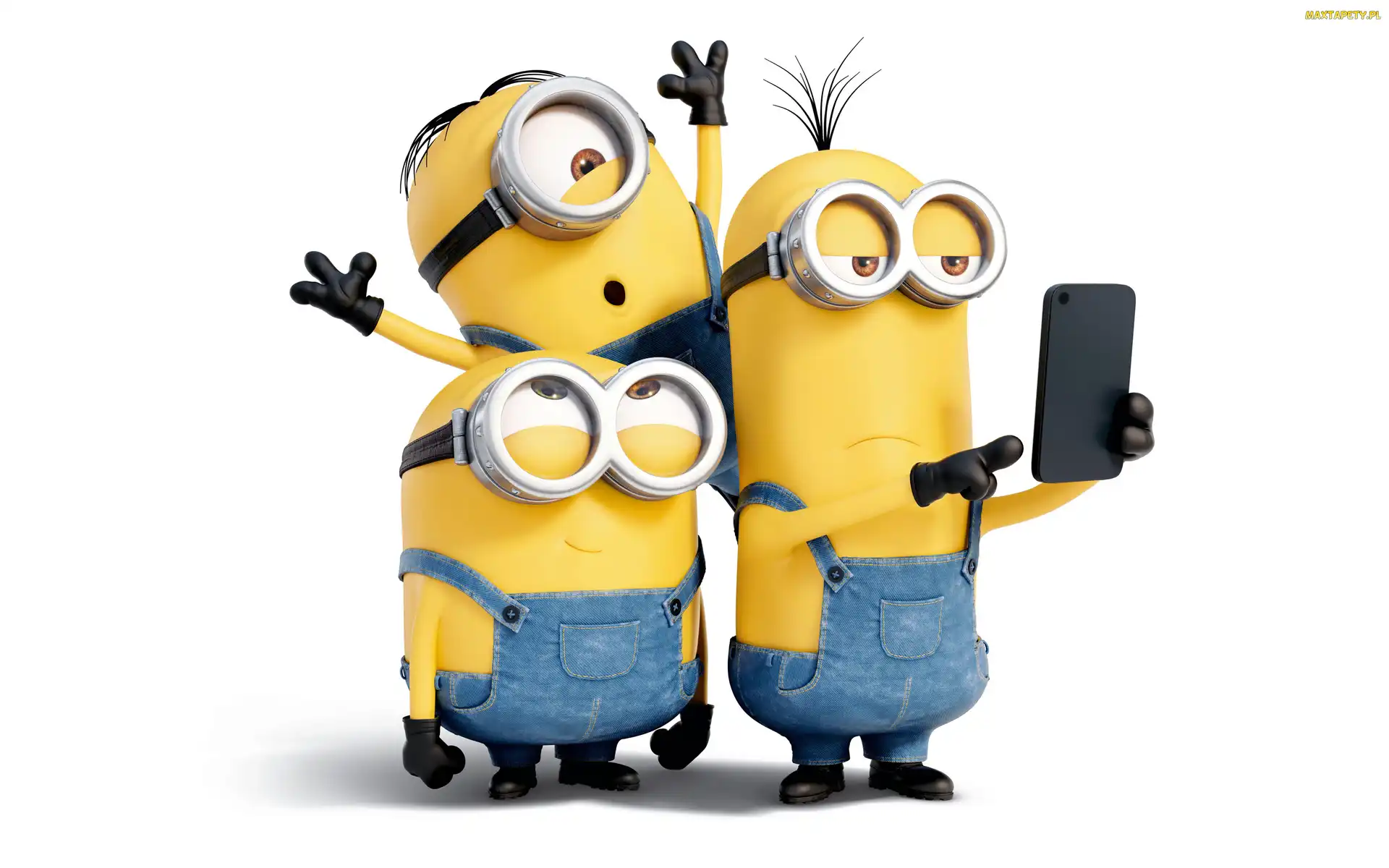 Film Animowany, Selfi, Sweet Focia, Telefon, Minionki