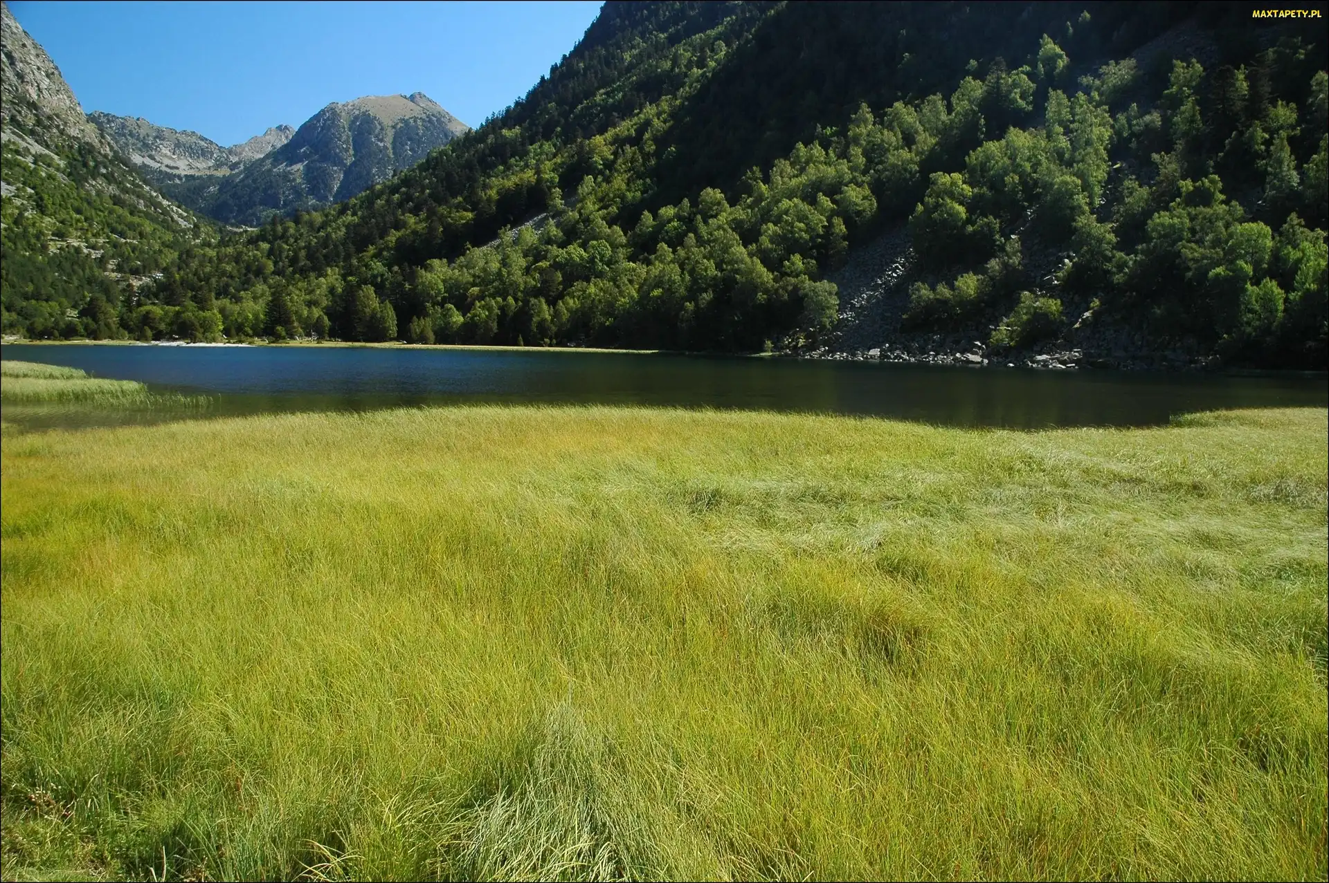 Góry, Rzeka, Lato, Las, Łąka