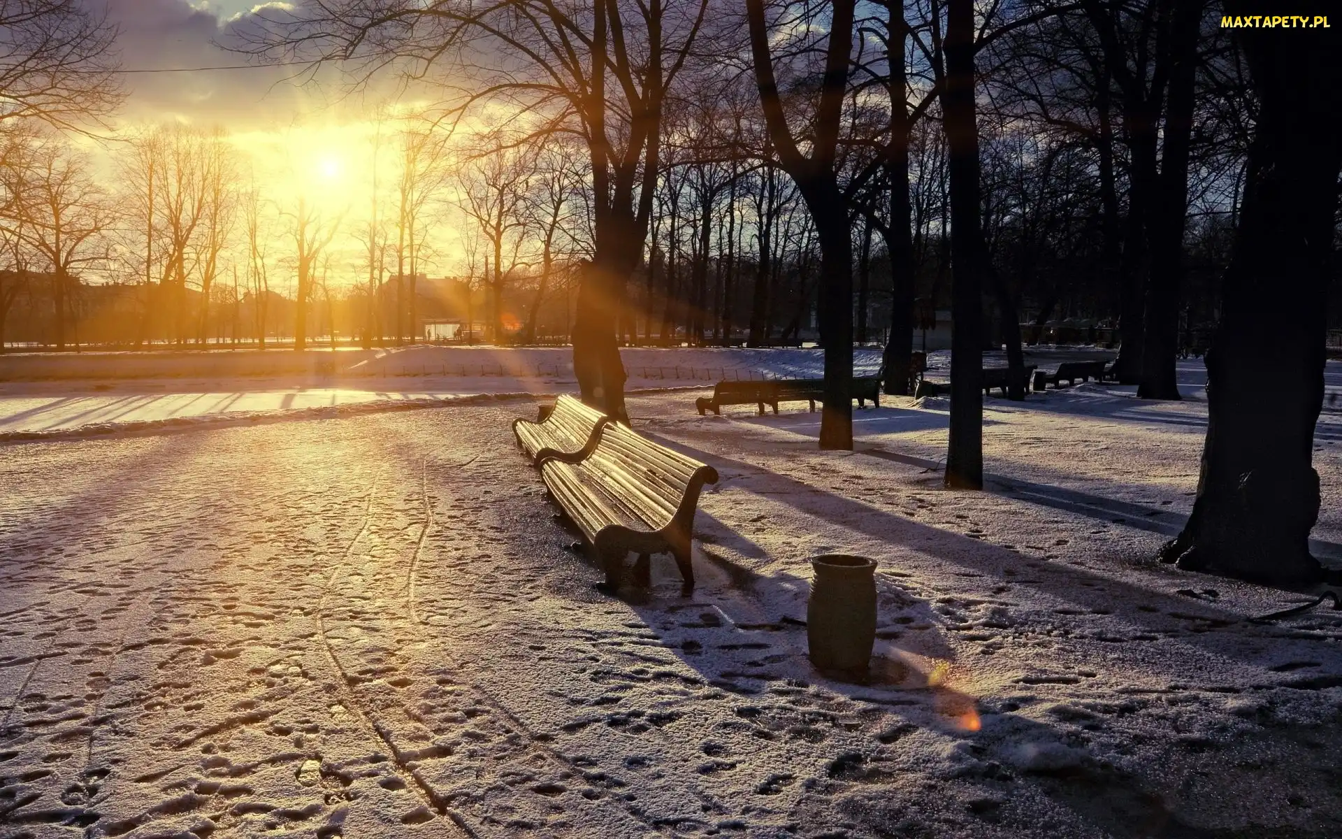 Słońca, Promienie, Zima, Park, Staw, Ławki