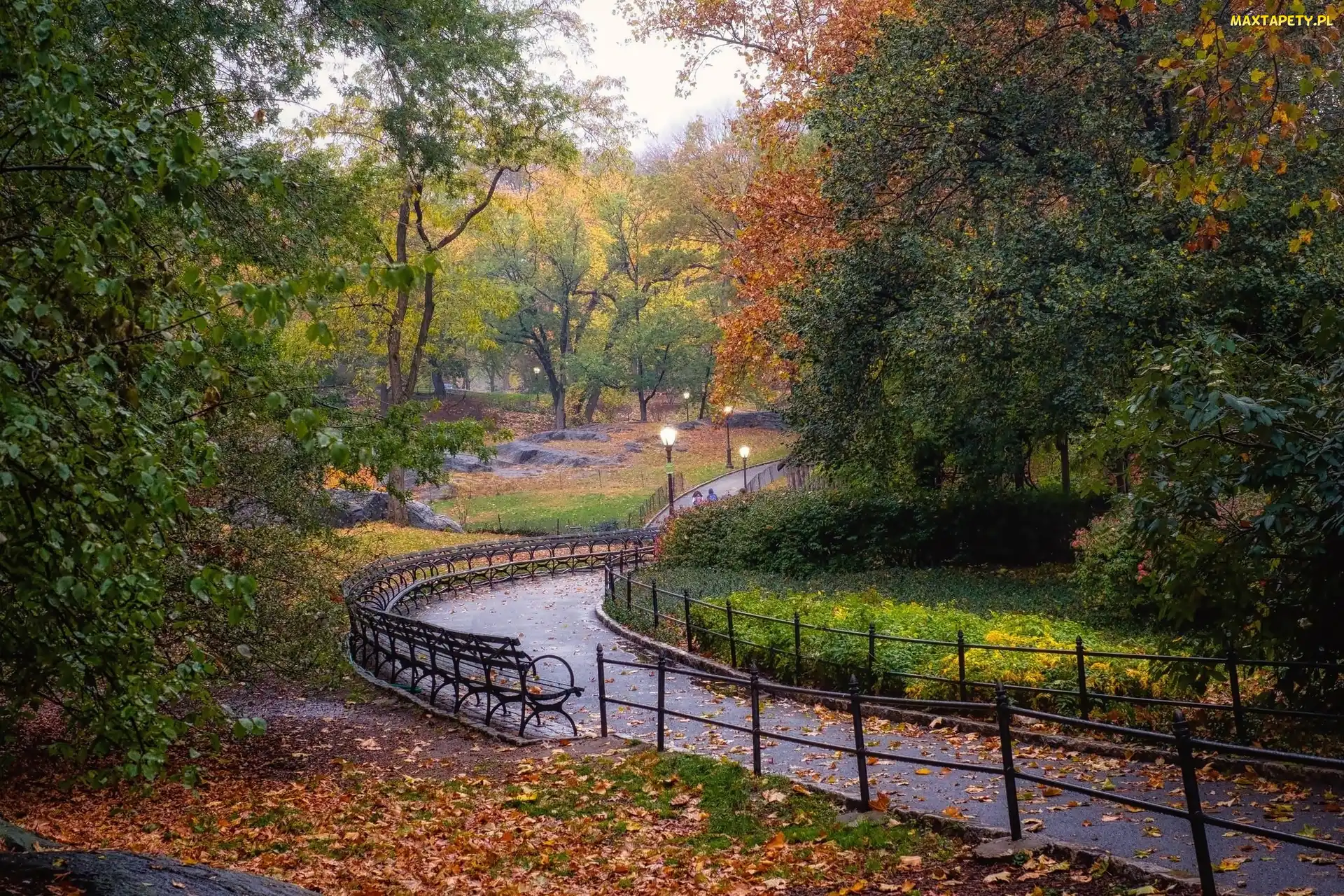 Park, Alejka, Jesień, Drzewa, Liście, Kwiaty