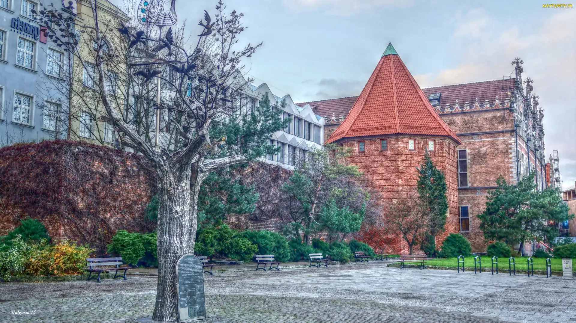 Budynki, HDR, Tabliczka, Drzewo, Gdańsk