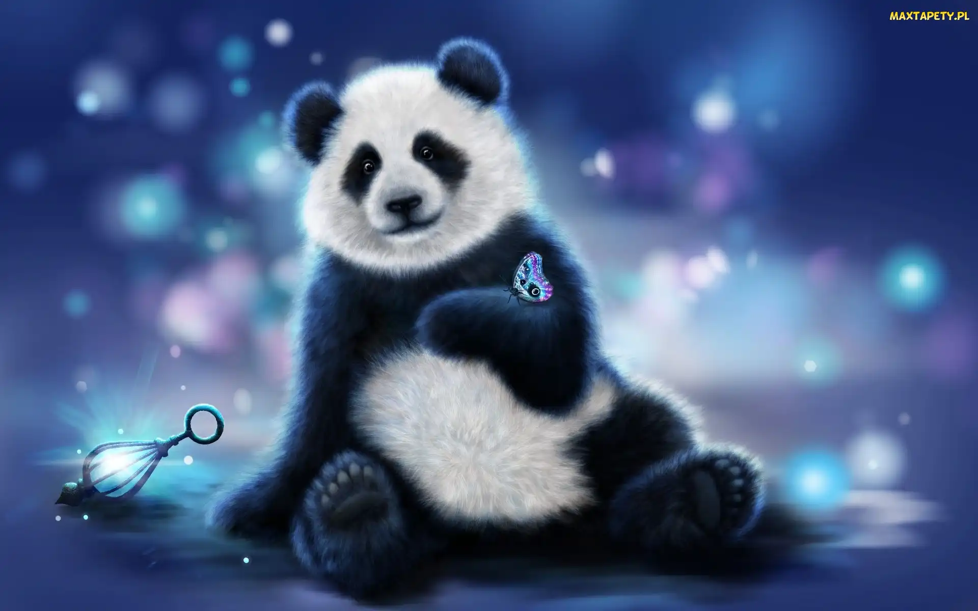 Motyl, Panda