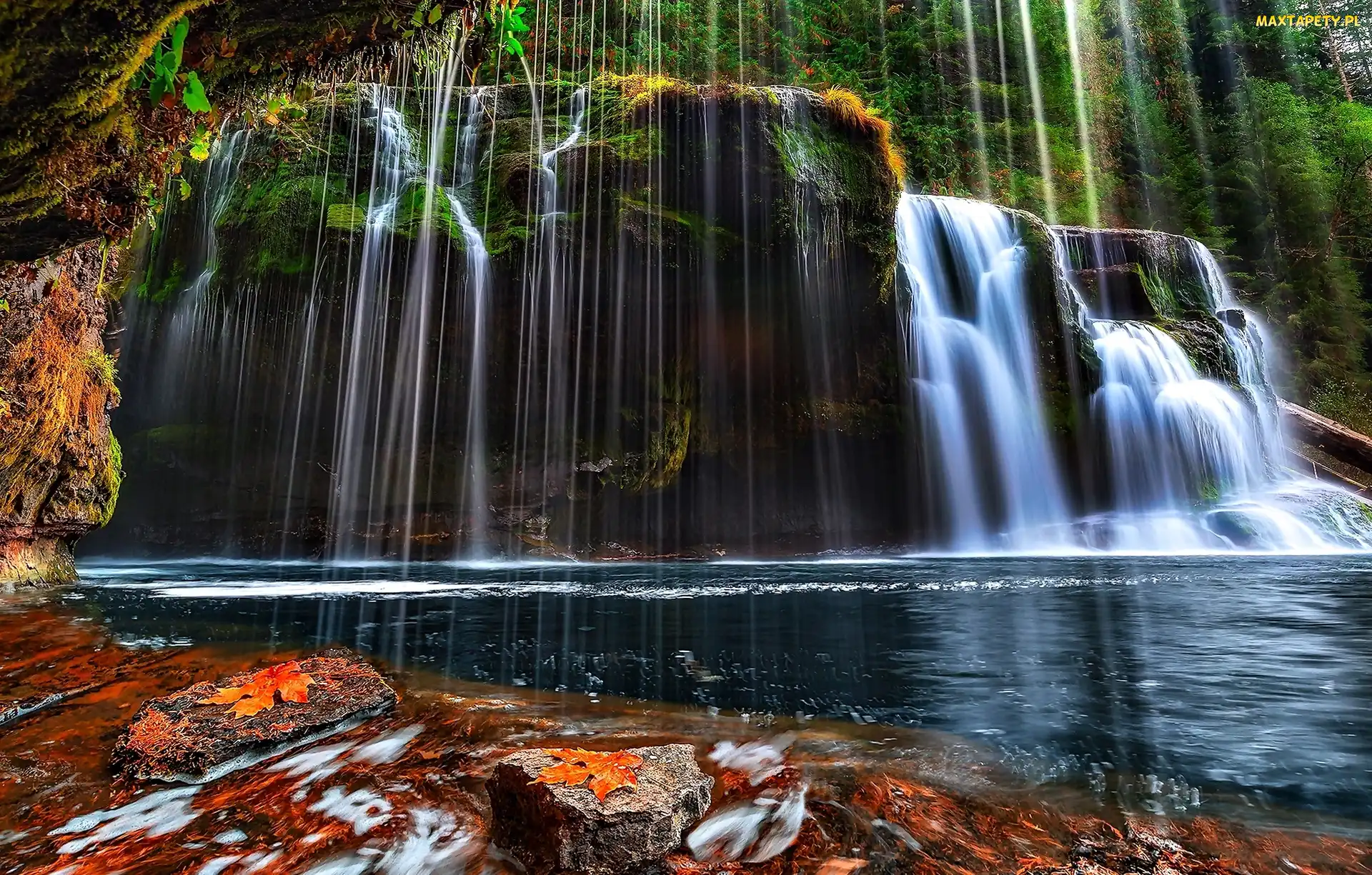 Lower Lewis River Falls, Drzewa, Wodospad, Skała, Stan Waszyngton, Rzeka, Stany Zjednoczone, Jesień
