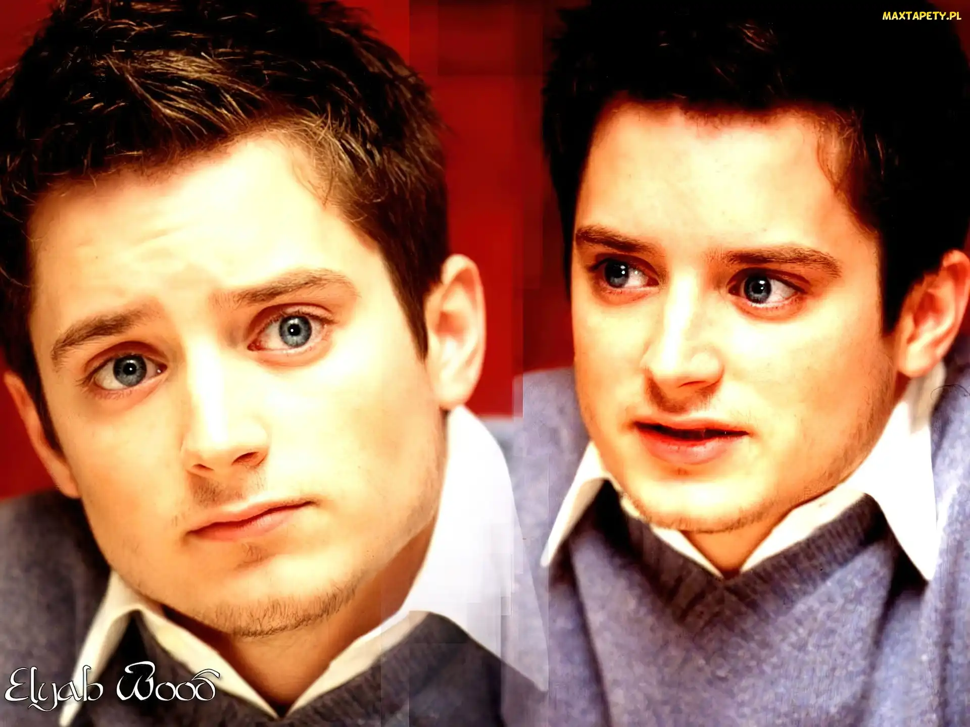 niebieskie oczy, bródka, Elijah Wood