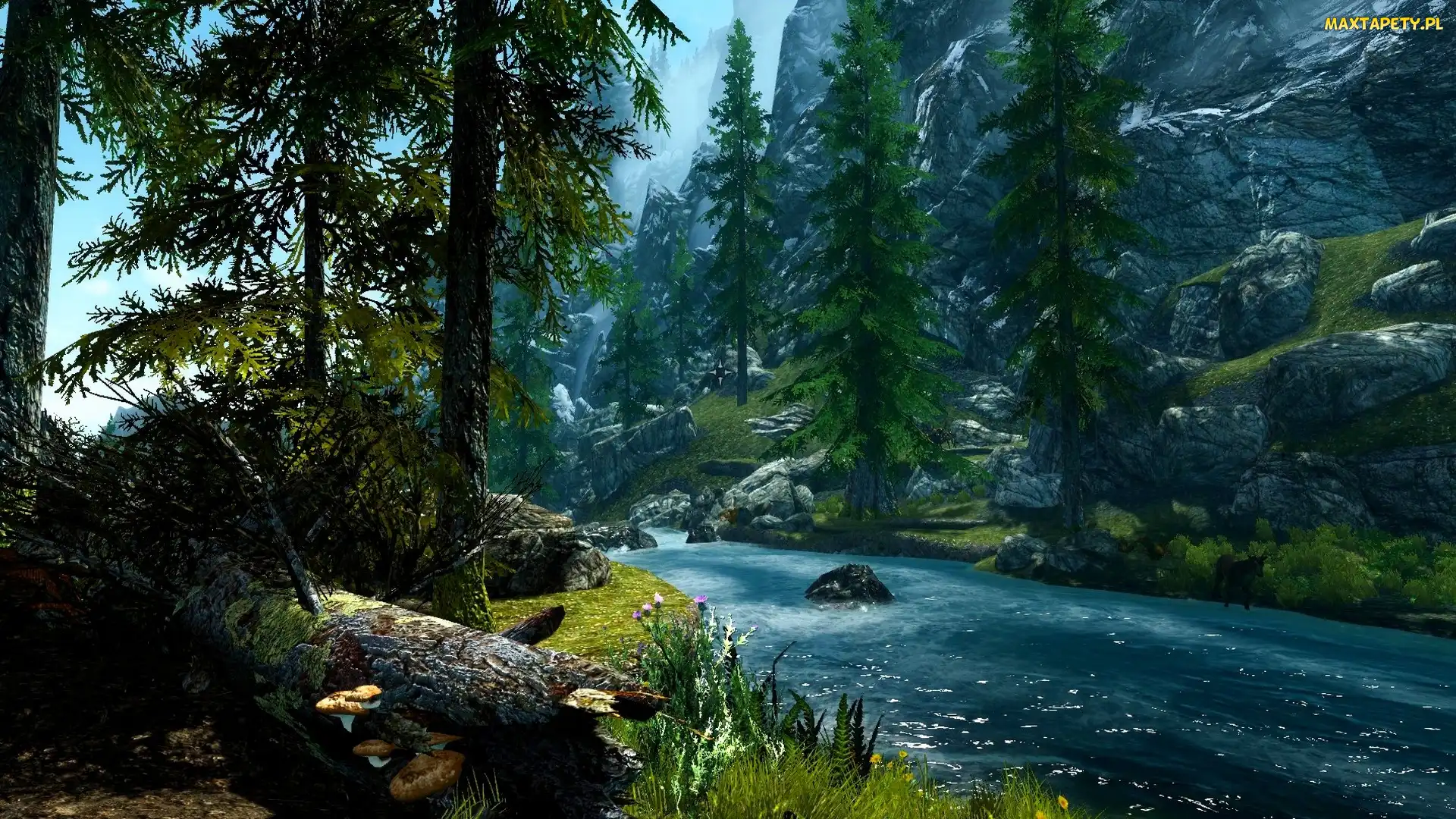 Kamienie, The Elder Scrolls V Skyrim, Drzewa Gra, Rzeczka, Skały