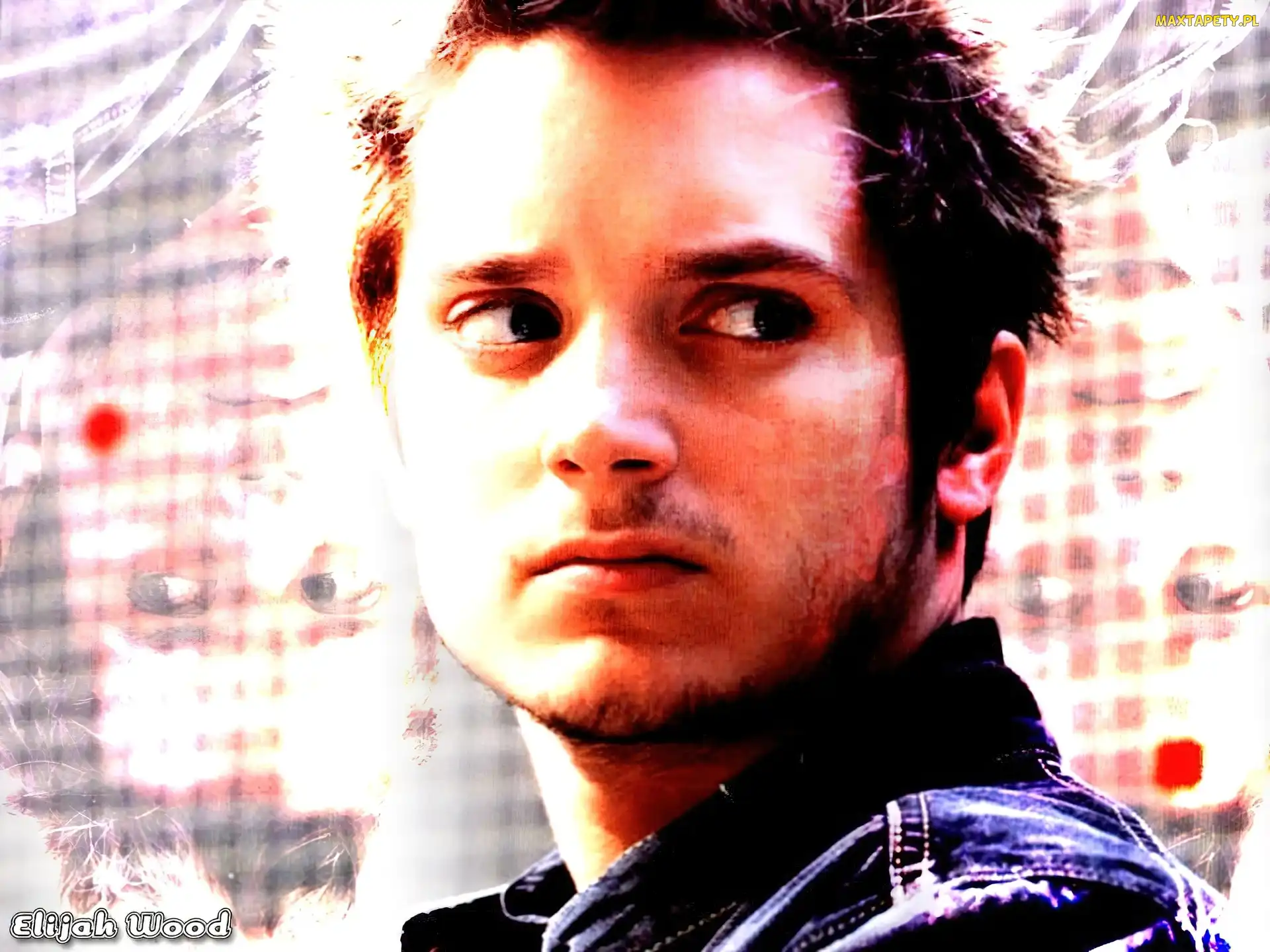 Elijah Wood, broda, twarz