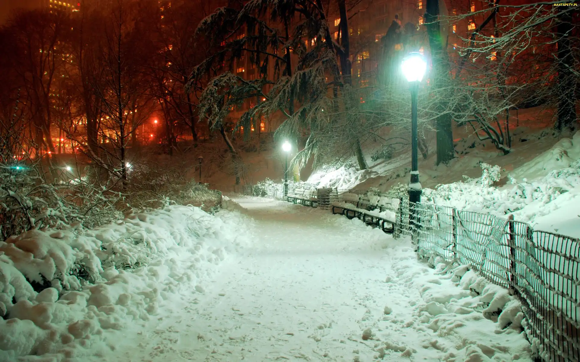 Zima, Park, Śnieg
