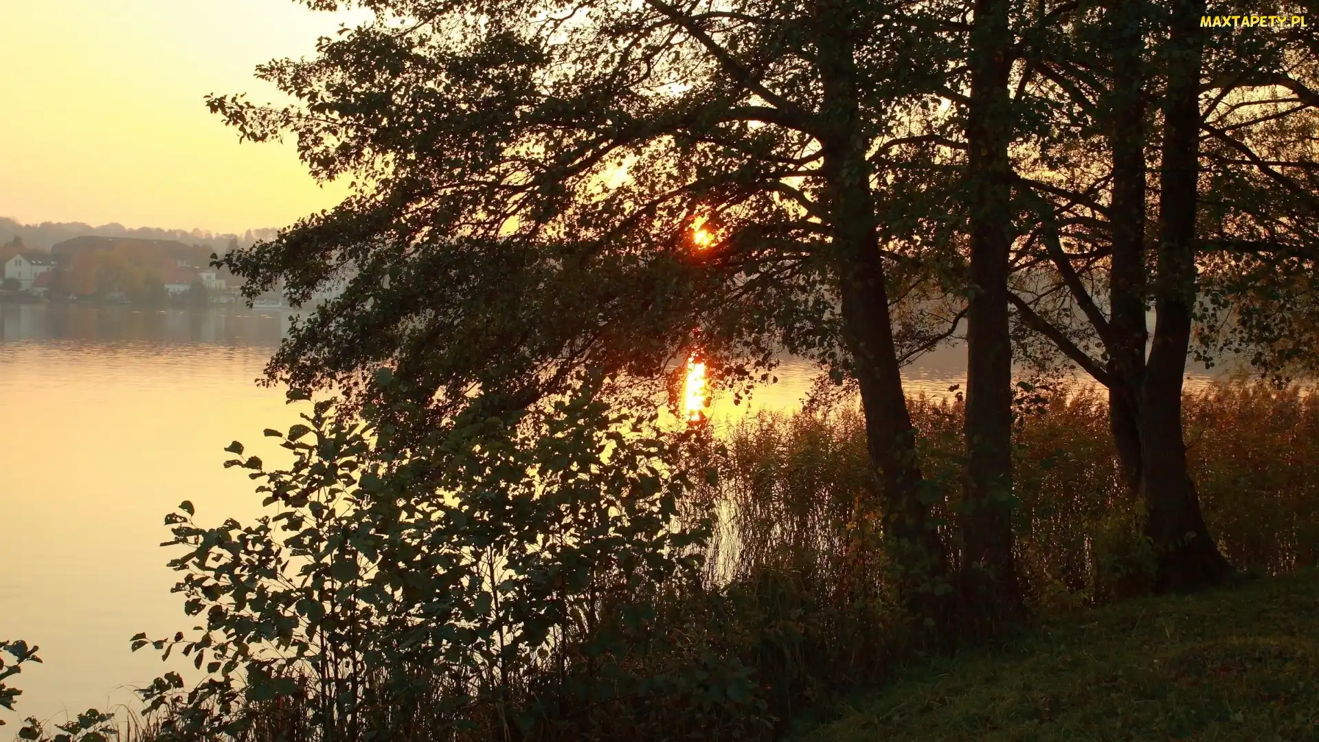 Słońca, Las, Mgła, Jezioro, Wschód