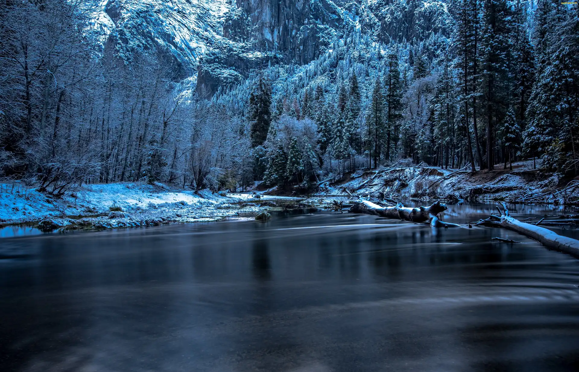 Rzeka, Góry, Stan Kalifornia, Drzewa, Zima, Stany Zjednoczone, Park Narodowy Yosemite