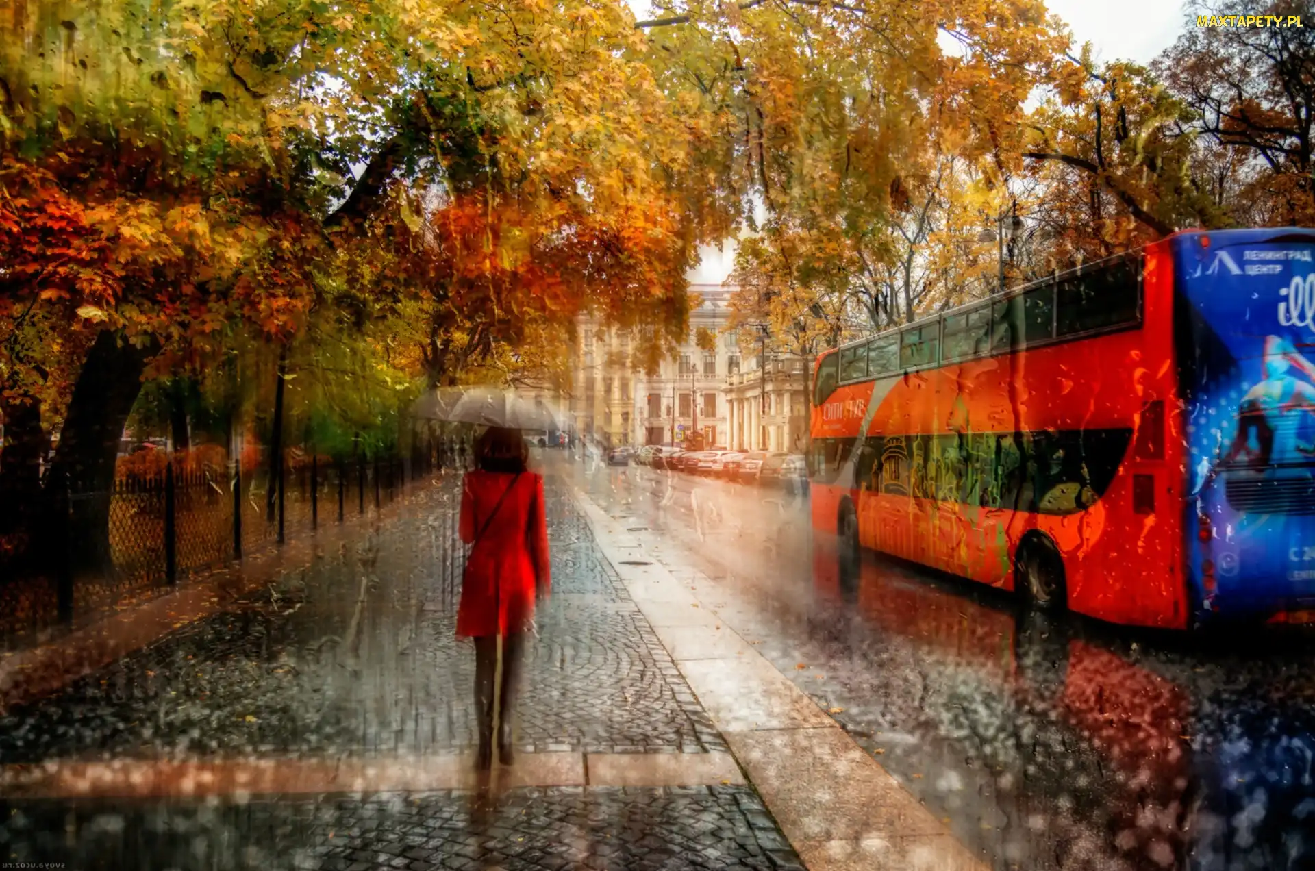 Parasol, Kobieta, Deszcz, Jesień, Ulica, Autobus