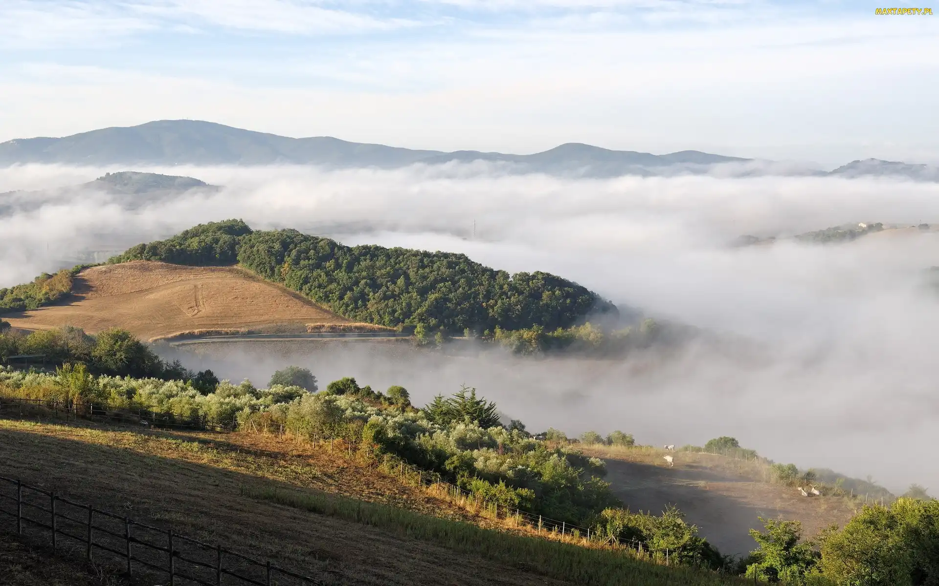 Mgły, Lasy, Góry, Jezioro