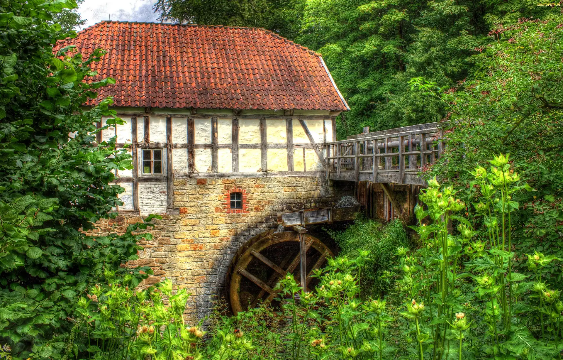 Drzewa, HDR, Młyn