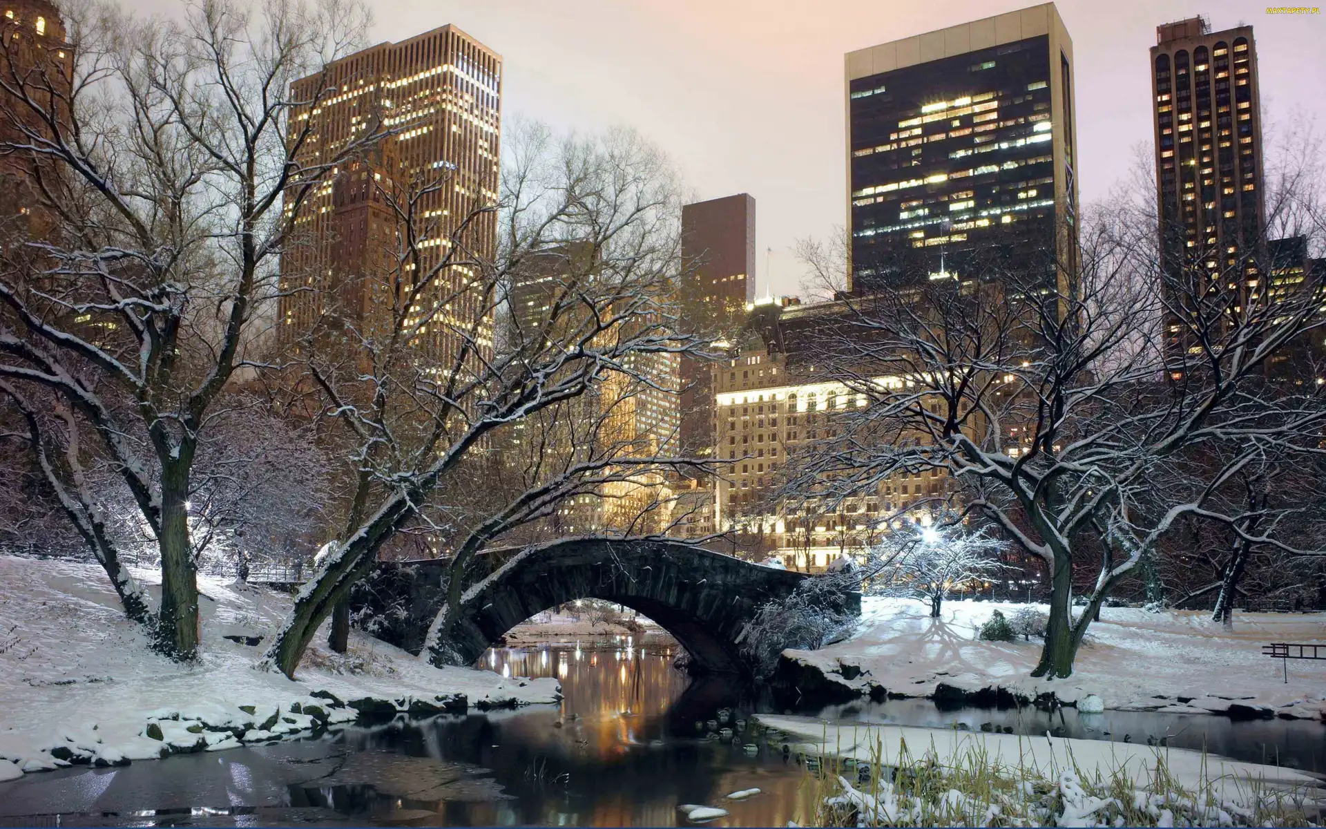 Zima, USA, Park, Nowy Jork
