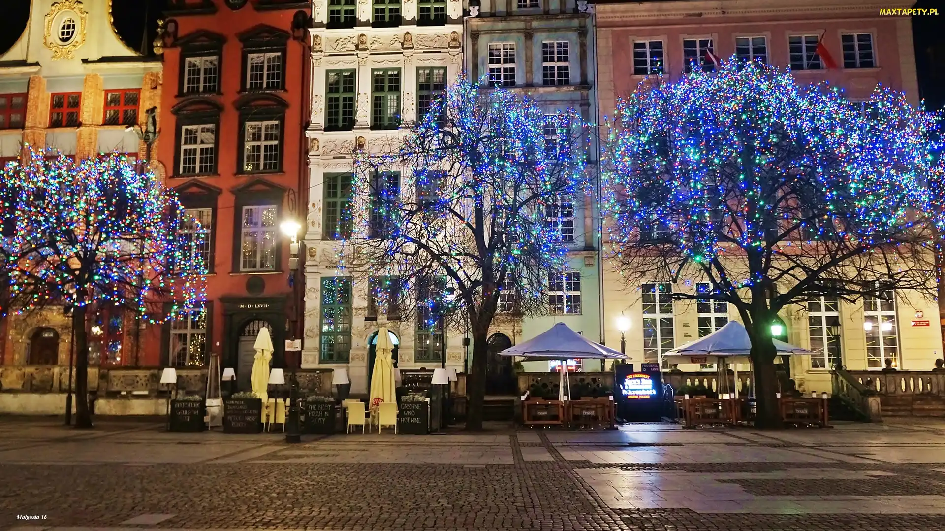Lampki, Drzewa, Gdańsk, Świąteczne, Kamienice, Miasto, Noc