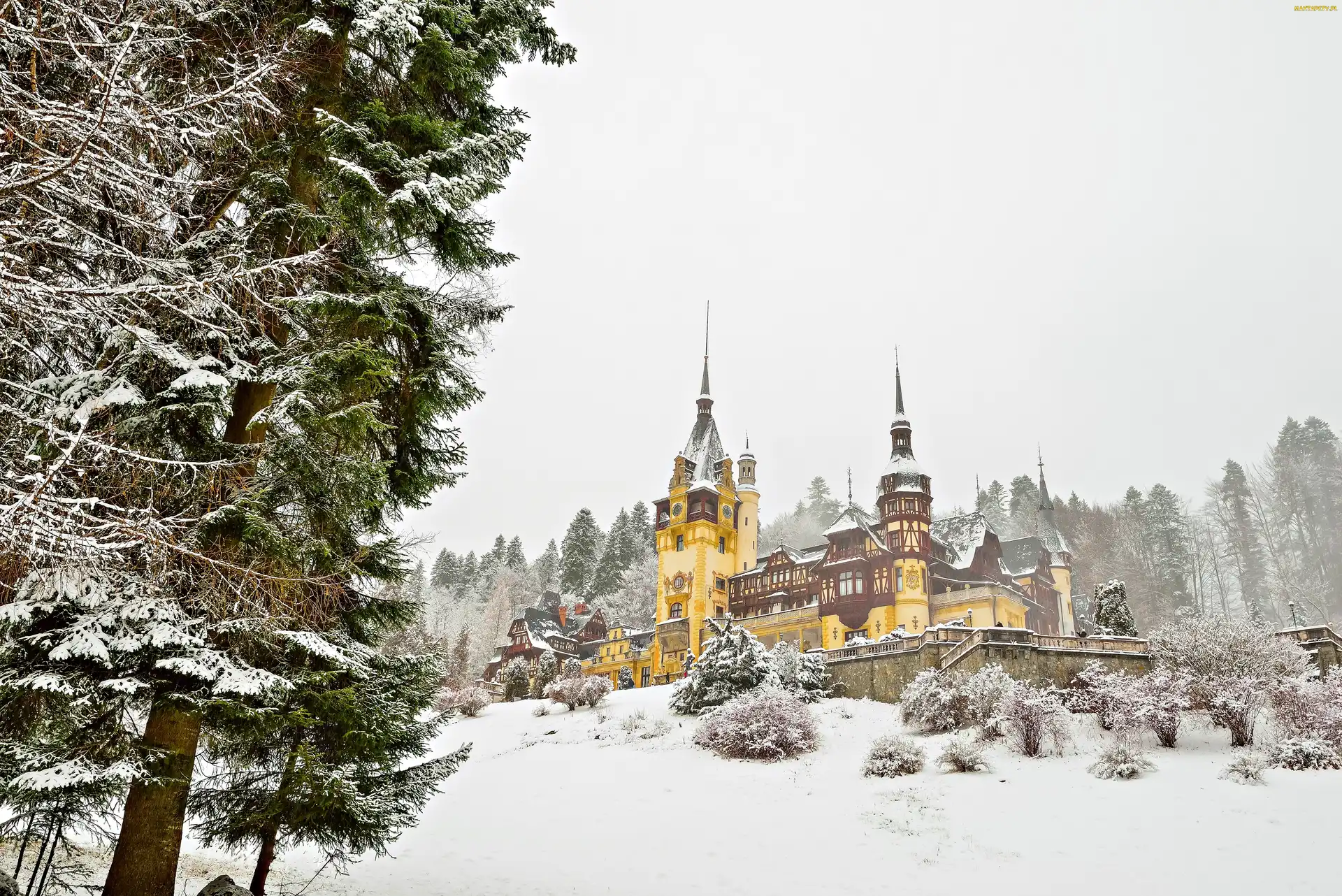 Zima, Drzewa, Castelul Peleş, Pałac Peles, Miejscowość Sinaia, Rumunia