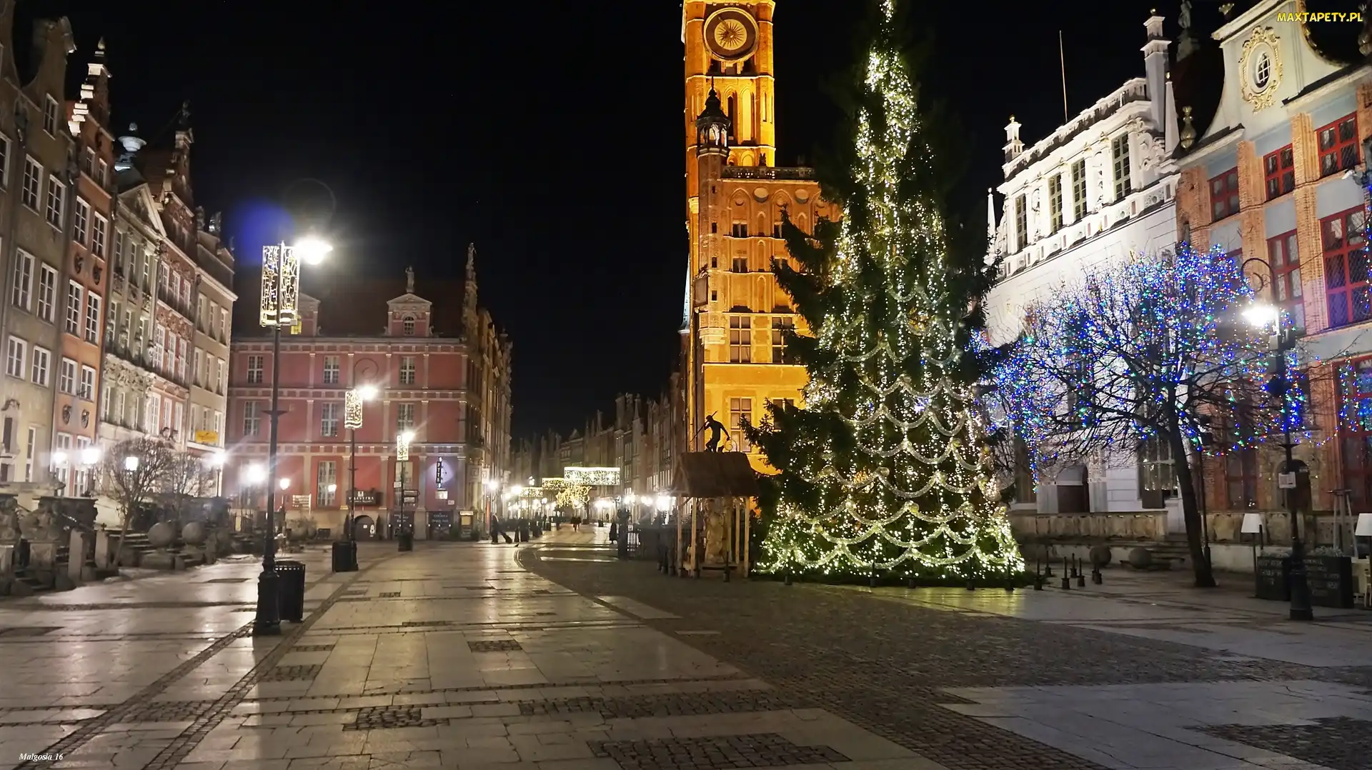 Latarnie, Kamienice, Gdańsk, Miasto, Choinka, Noc