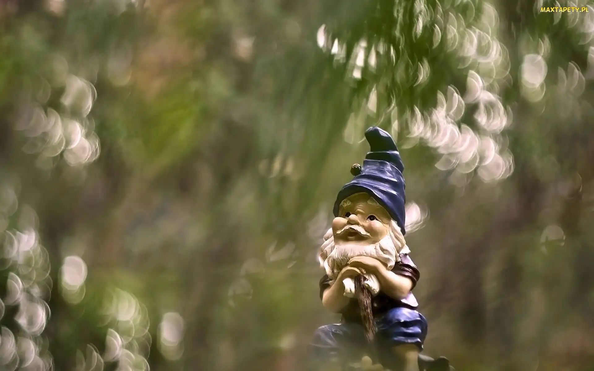 Bokeh, Makro, Figurka, Zabawka, Krasnal, Skrzat