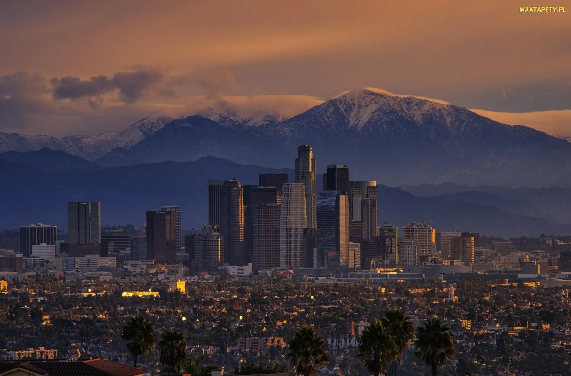 Tapety Zdj cia Los Angeles Noc USA Miasto Kalifornia Tapety Zdj cia Los Angeles Noc USA Miasto Kalifornia