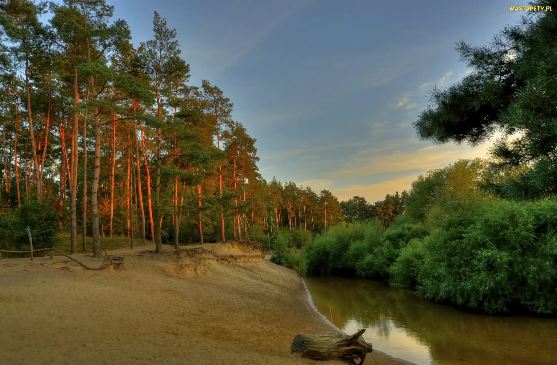 Lato, Słońca, Rzeka, Zachód, Las