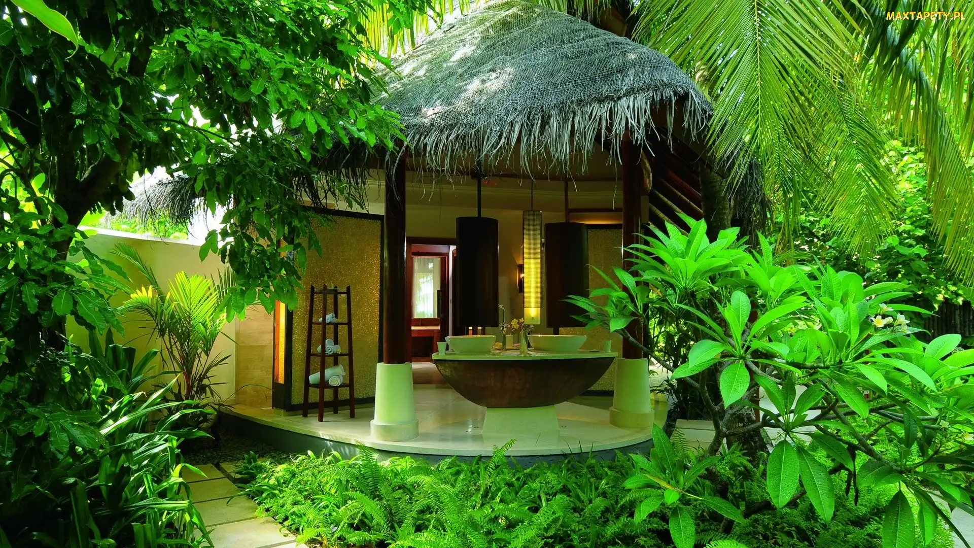 Spa, Palmy