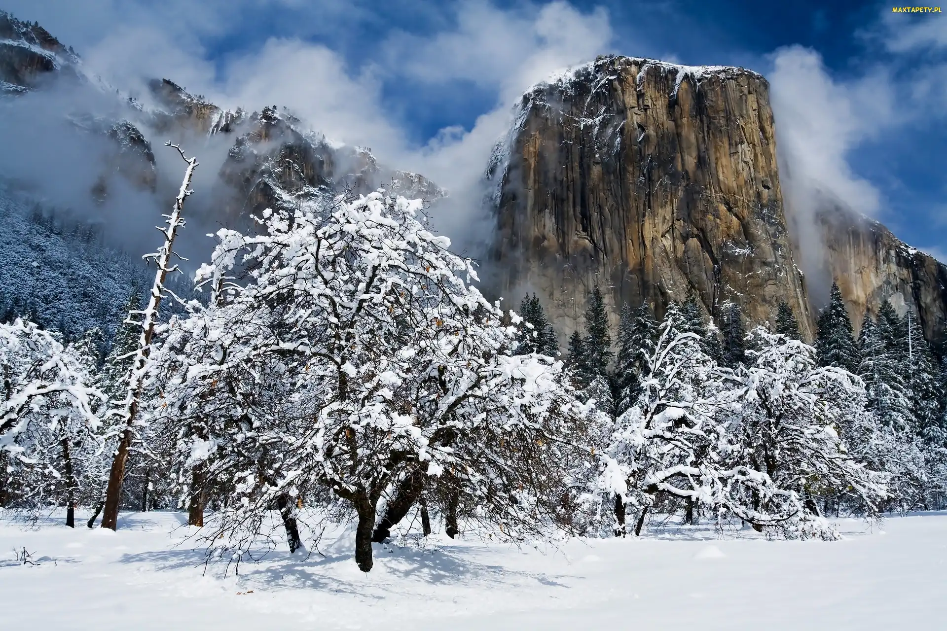 Szczyt El Capitan, Park Narodowy Yosemite, Stany Zjednoczone, Stan Kalifornia
