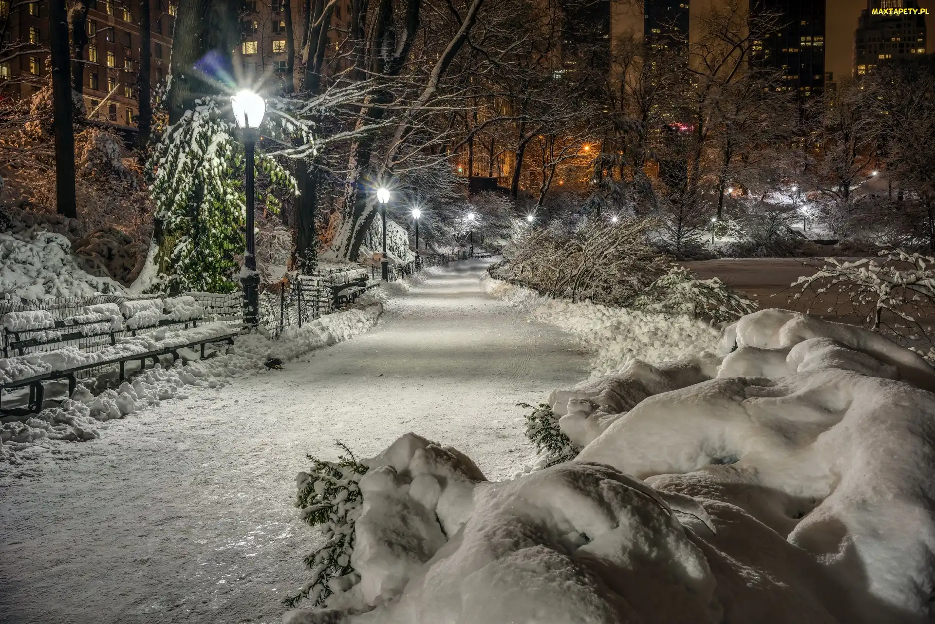 USA, Zima, Central Park, Nowy Jork