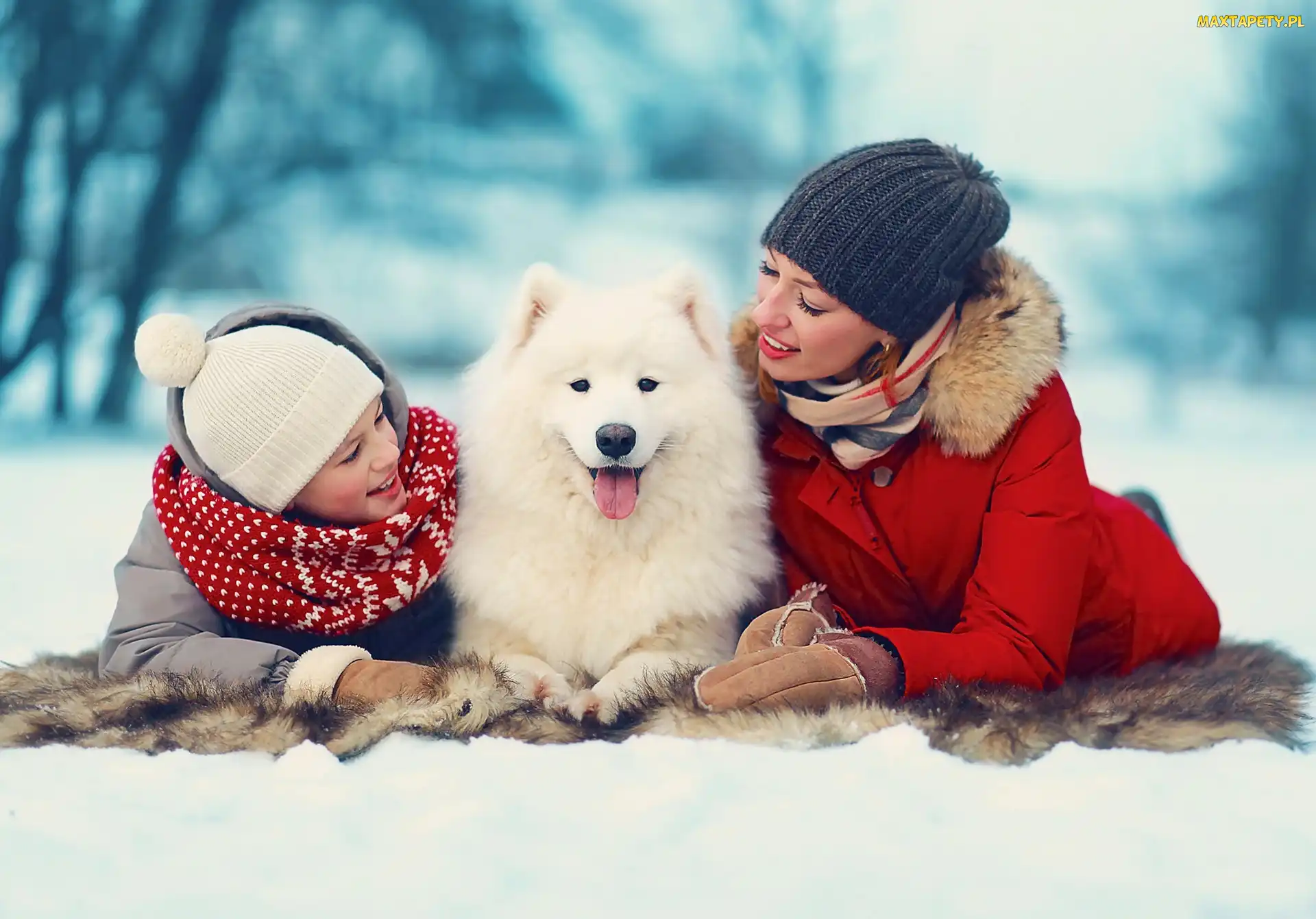 Kobiety, Dwie, Biały, Zima, Pies, Samojed