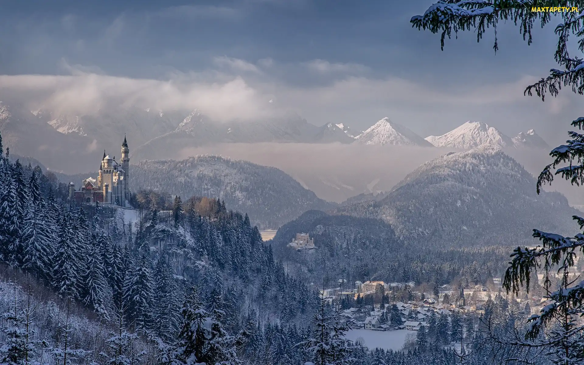 Bawaria, Drzewa, Skały, Zamek Neuschwanstein, Niemcy