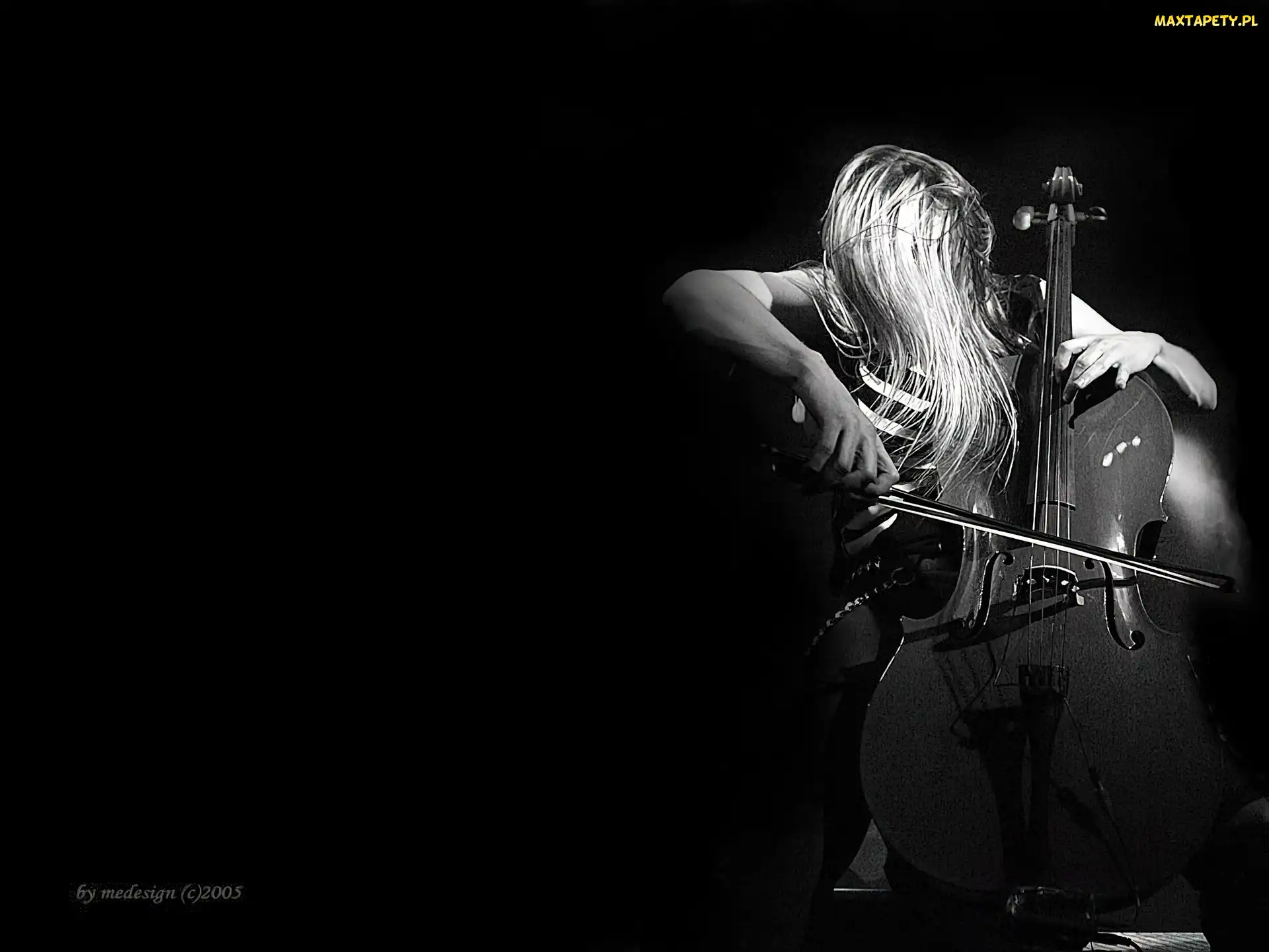 Apocalyptica, wiolonczela