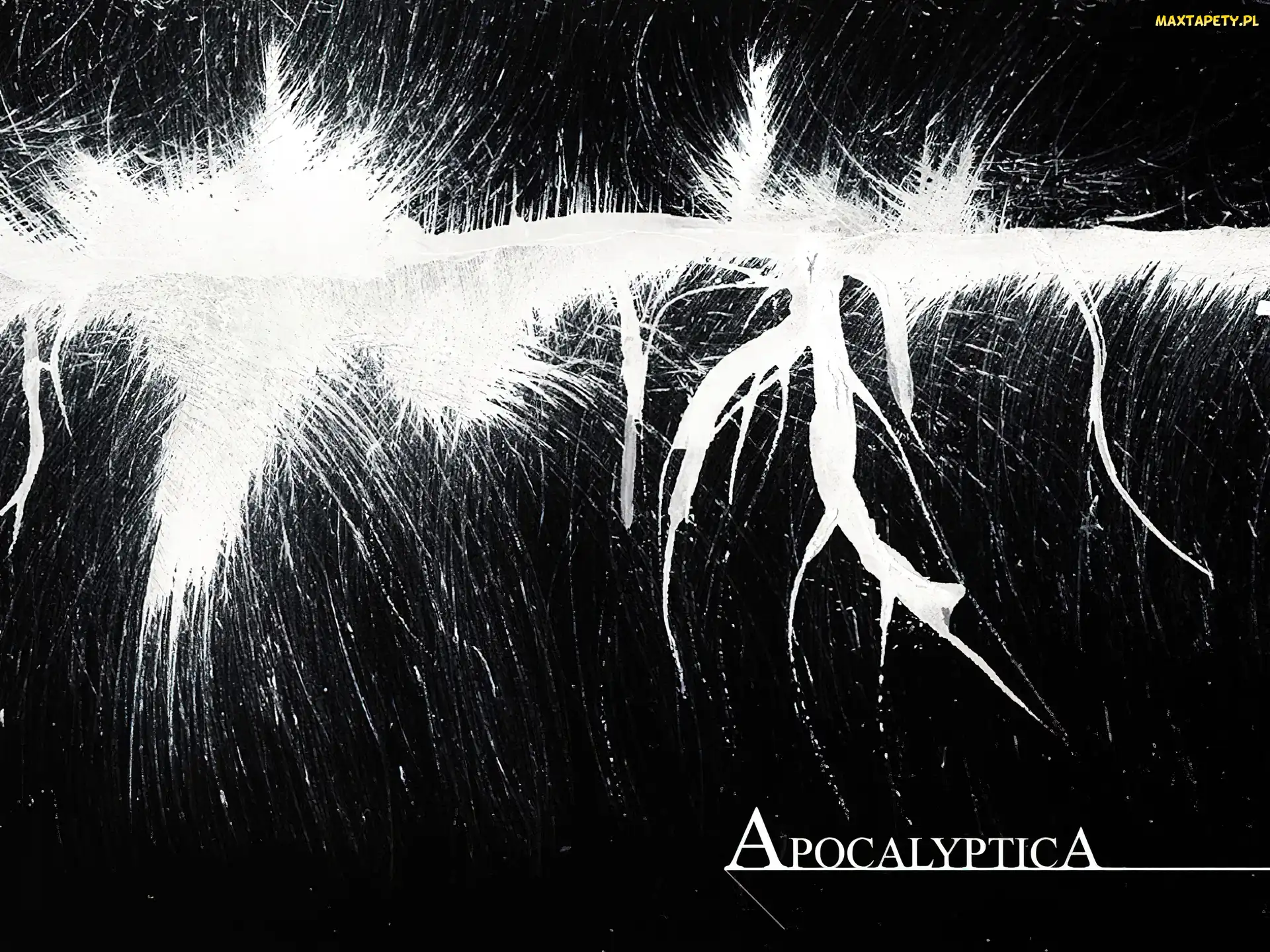 nazwa zespołu, Apocalyptica