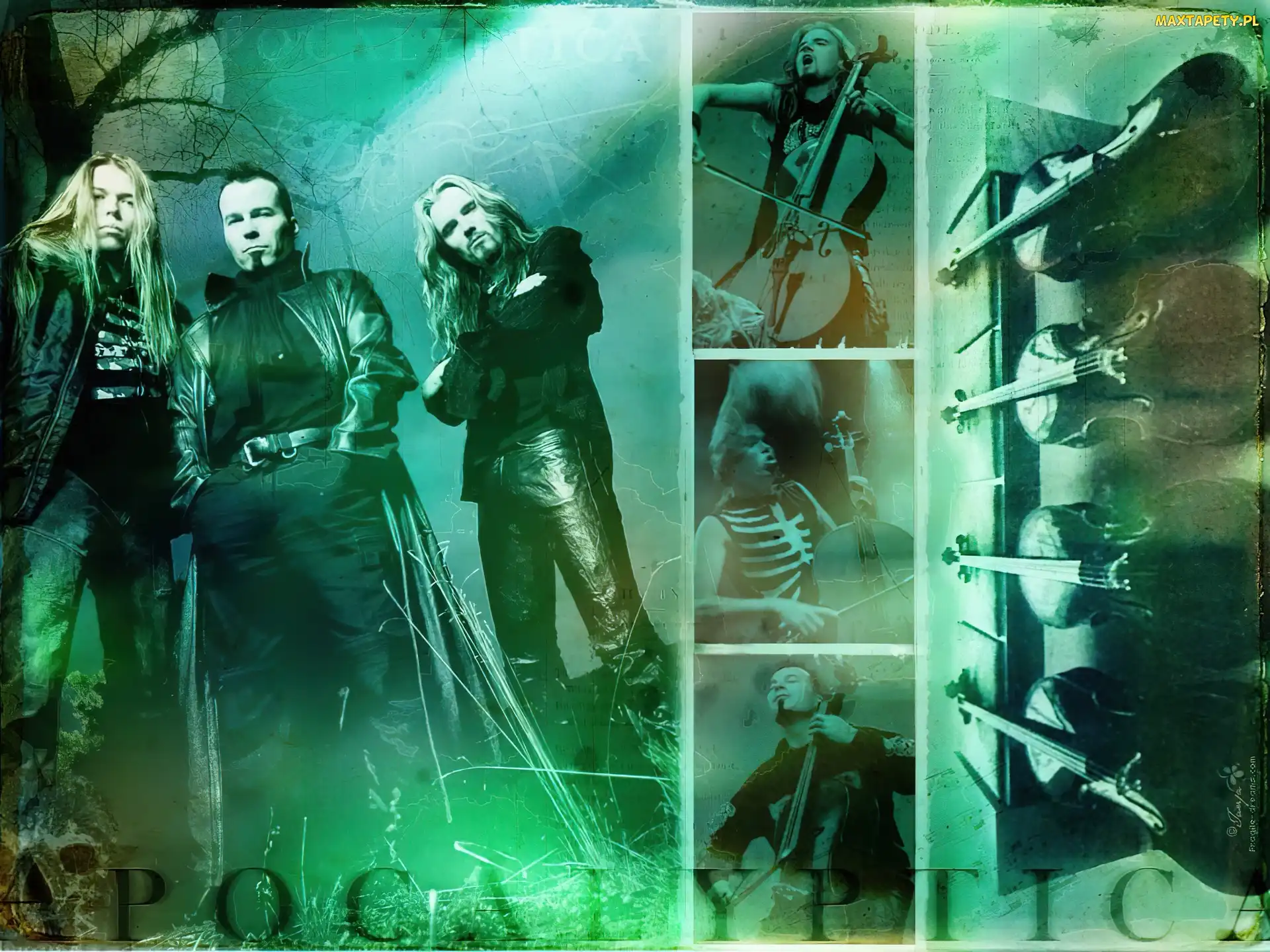 zespół , wiolonczele, Apocalyptica