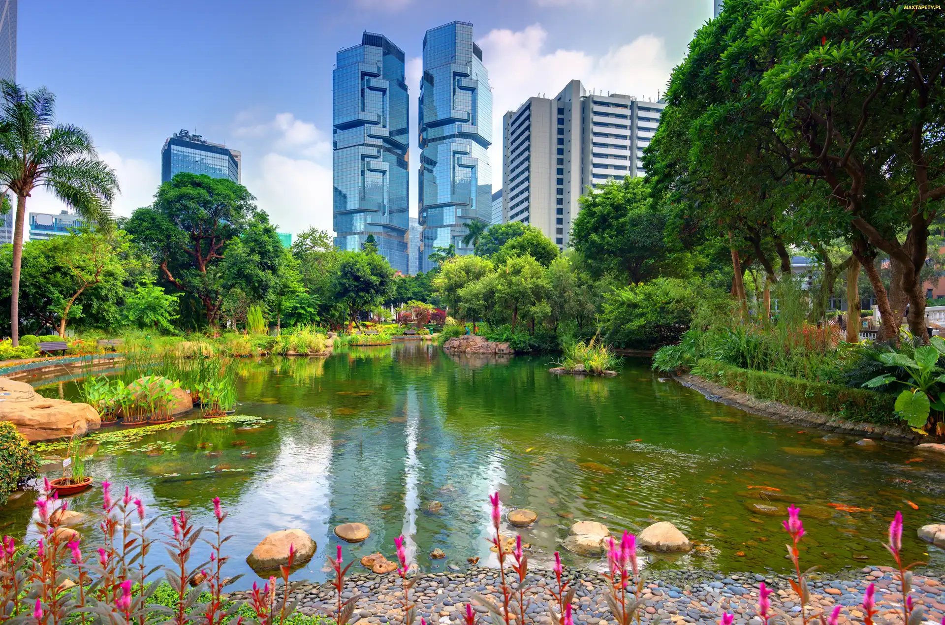 Chiny, Park, Hong Kong