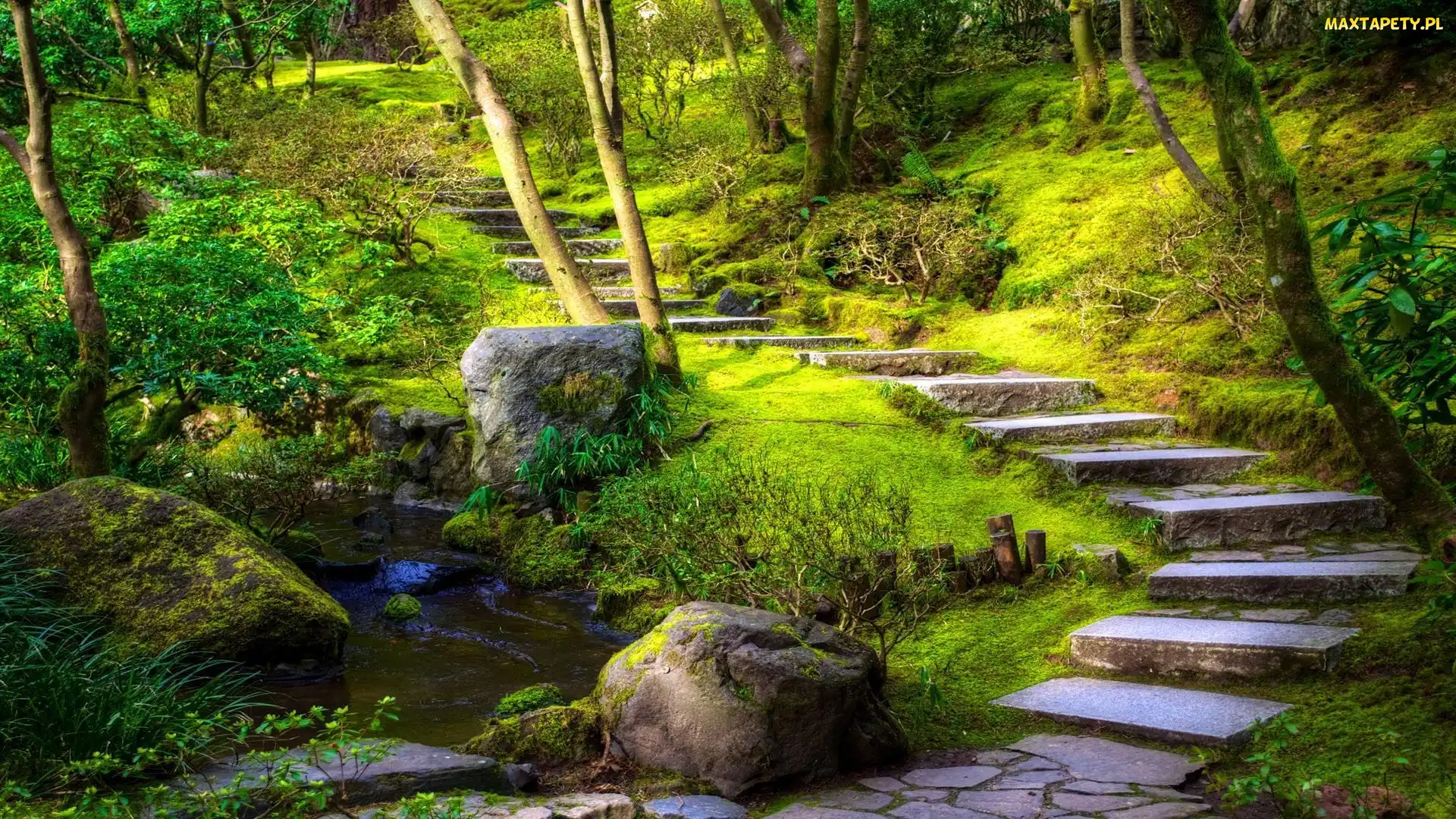 USA, Oregon, Strumień, Park, Schody, Portland