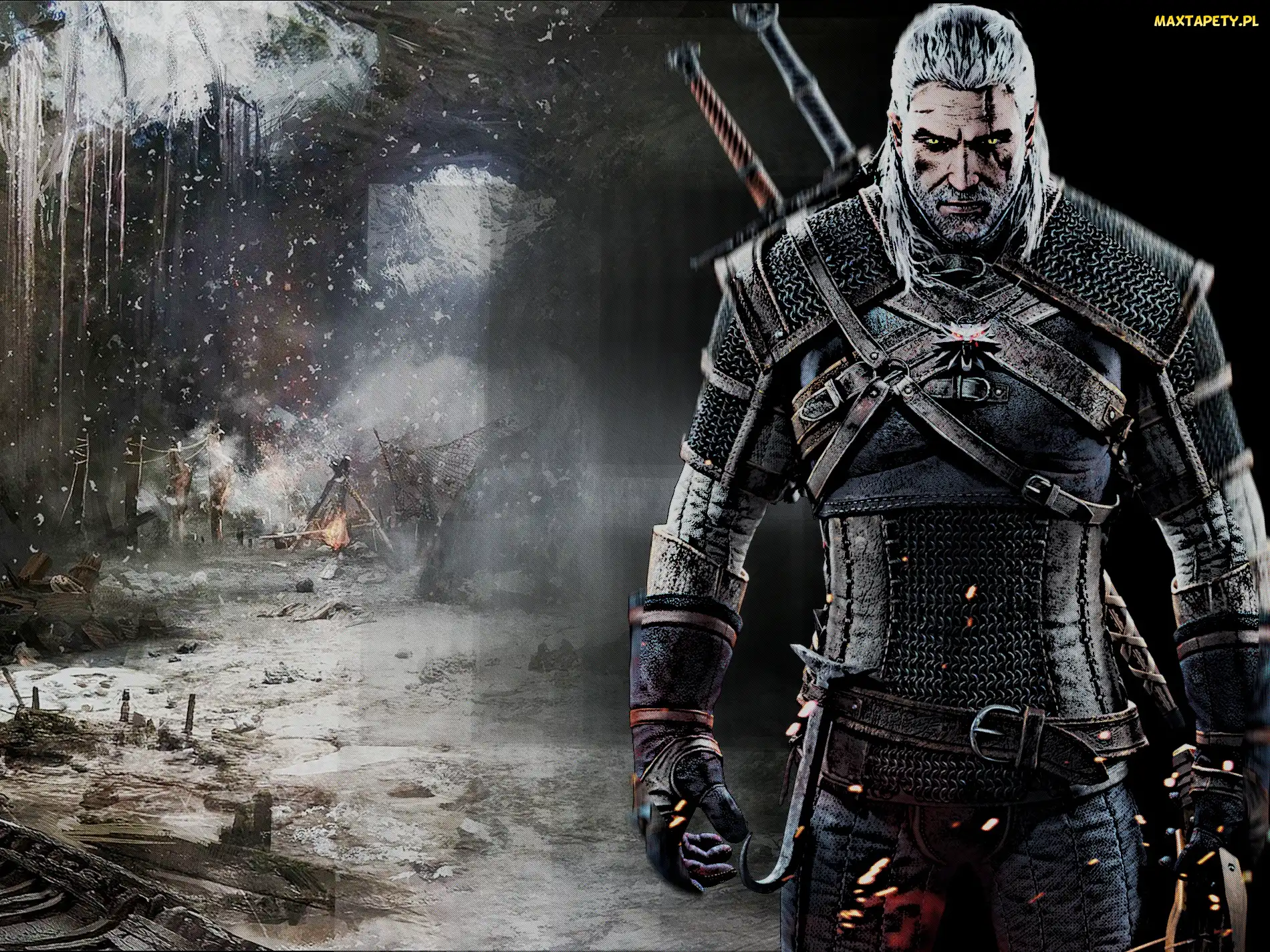 Fantastyka, Gra, The Witcher, Wiedźmin, Witcher, Geralt