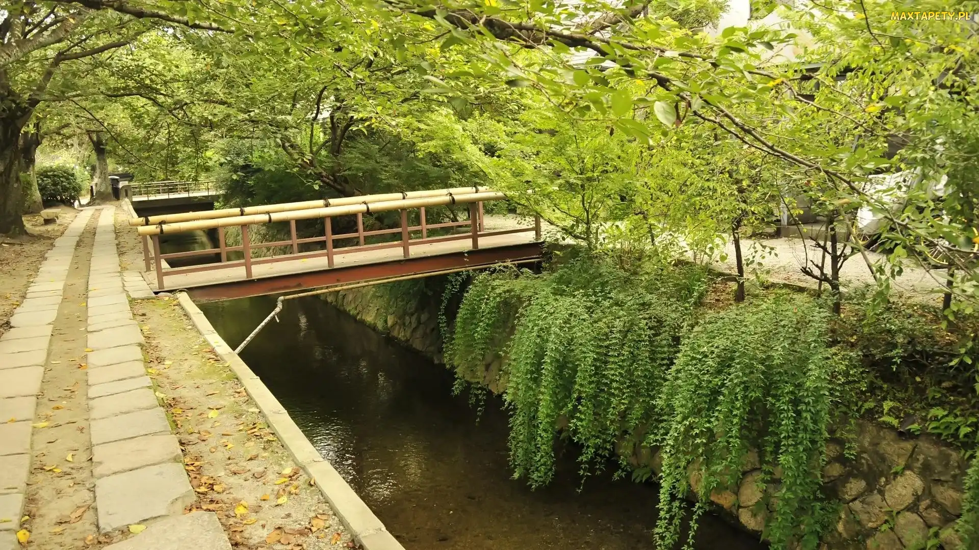 Most, Rzeka, Park