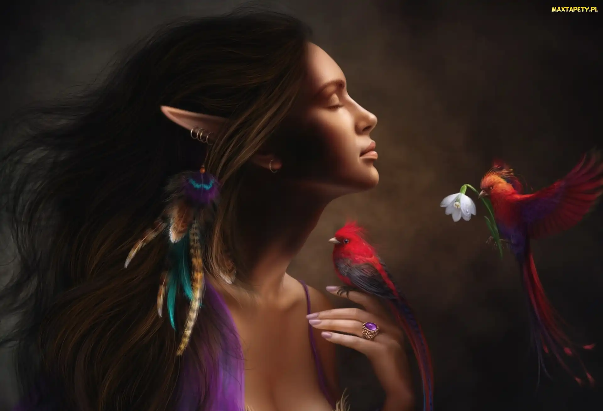 Elf, Ptaszek, Fantasy