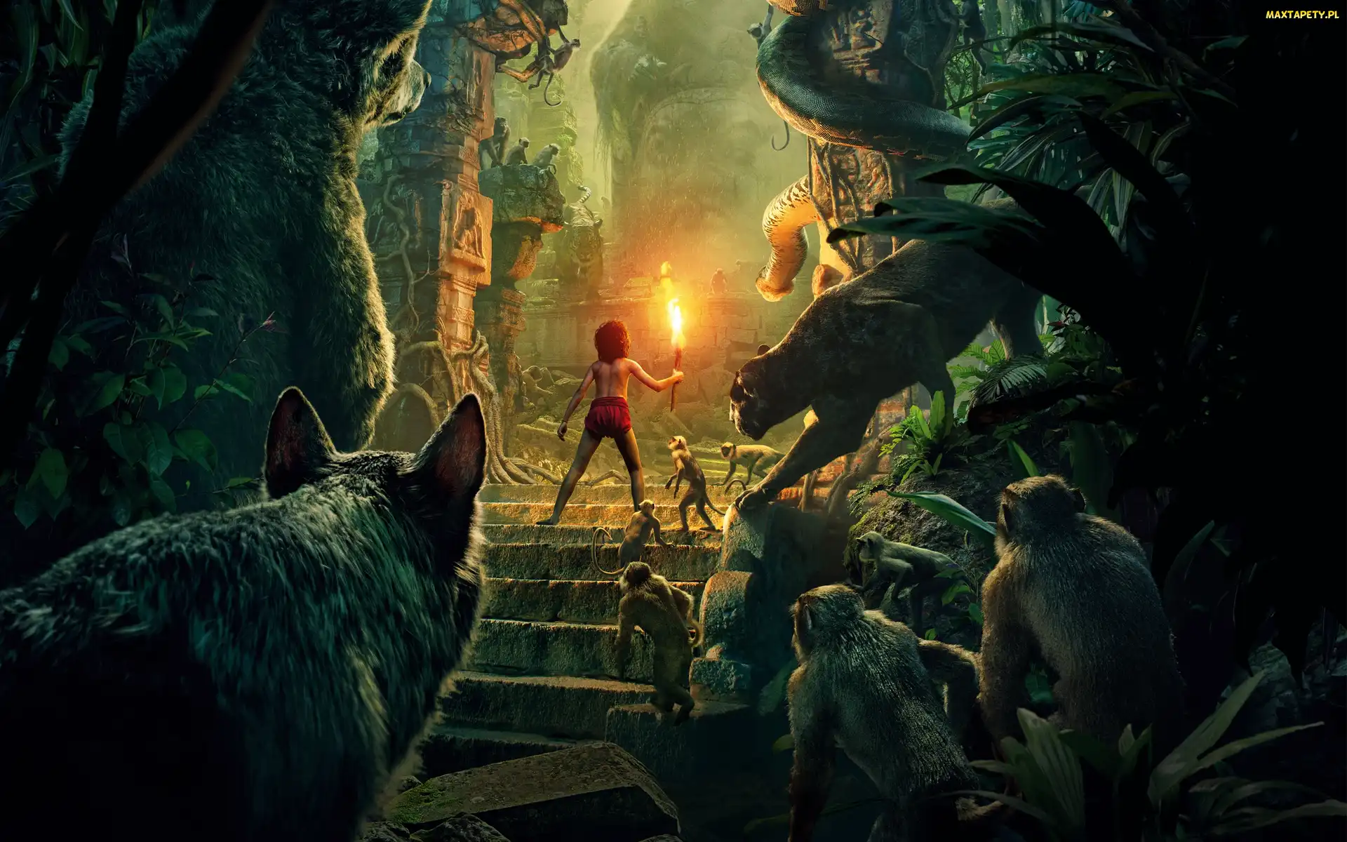 Księga dżungli, Zwierzęta, The Jungle Book