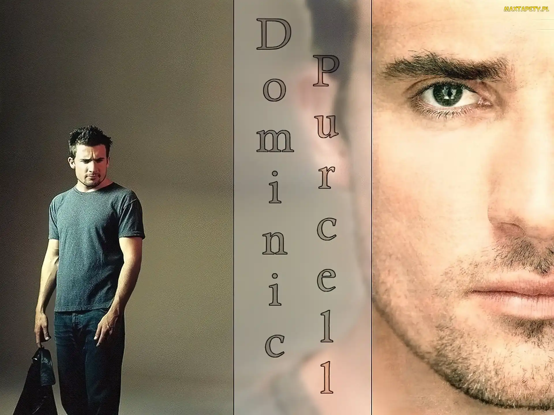 twarz, jeansy, Dominic Purcell
