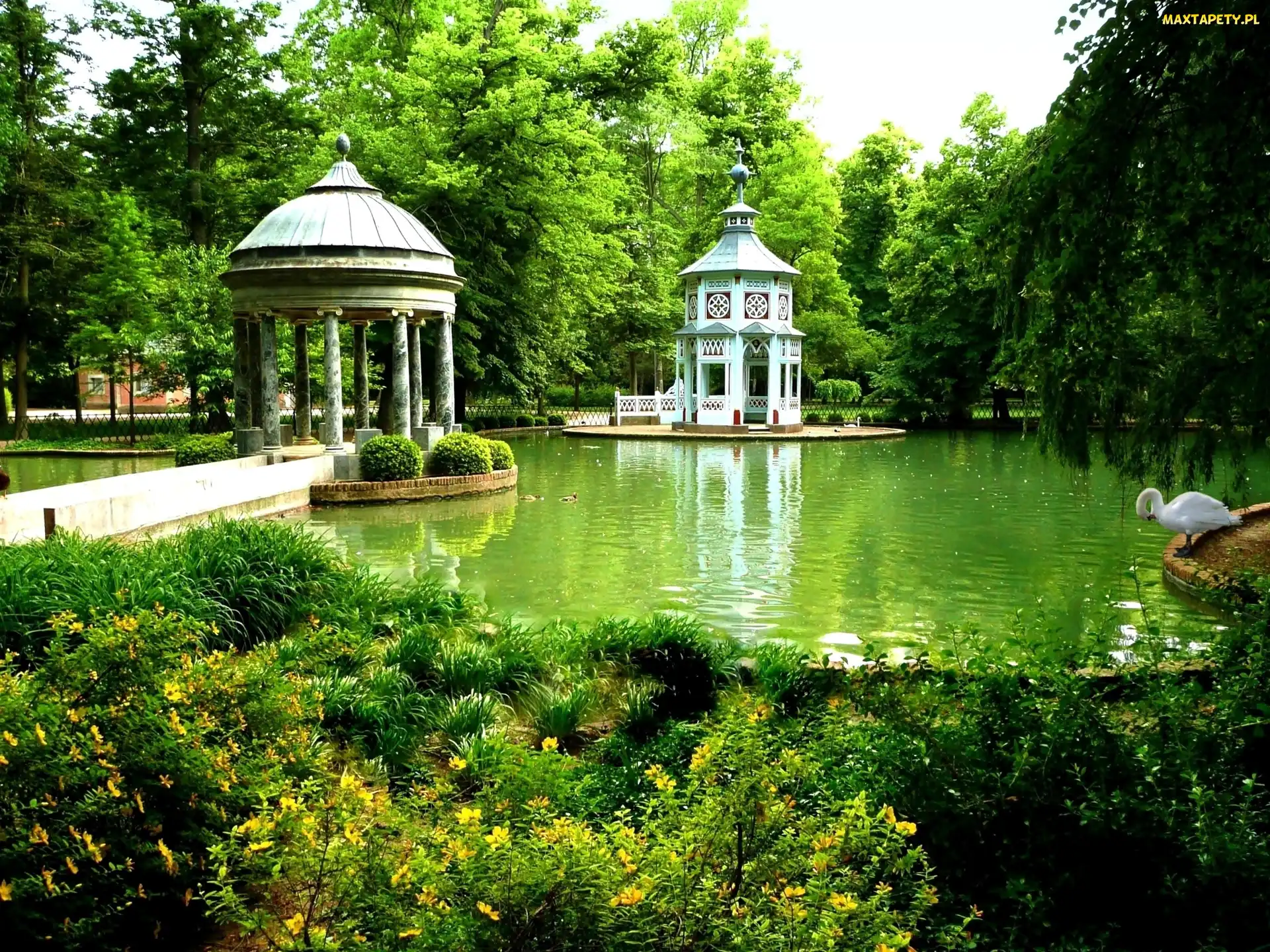 Park, Kaczki, Wodne, Hiszpania, Łabędzie, Oczko, Altany