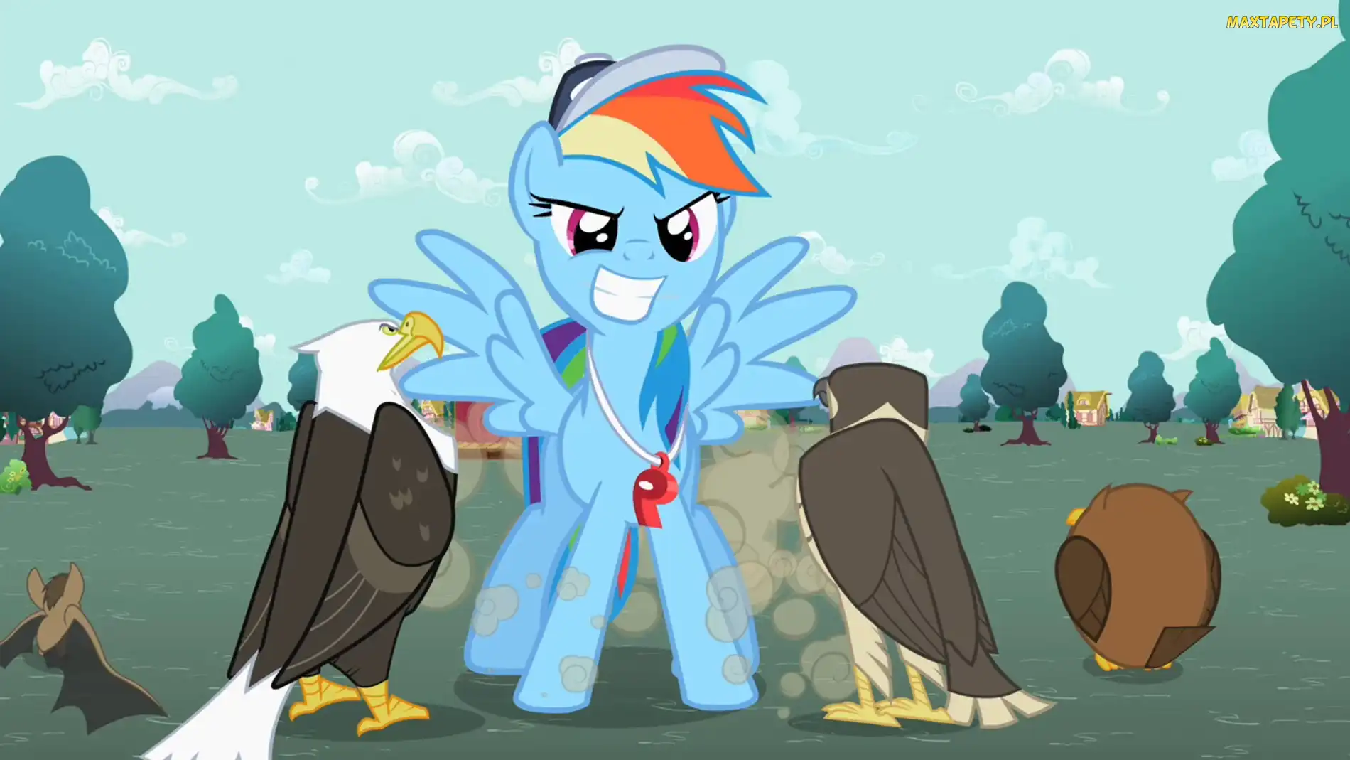 Orzeł, Sowa, Rainbow Dash, Trener