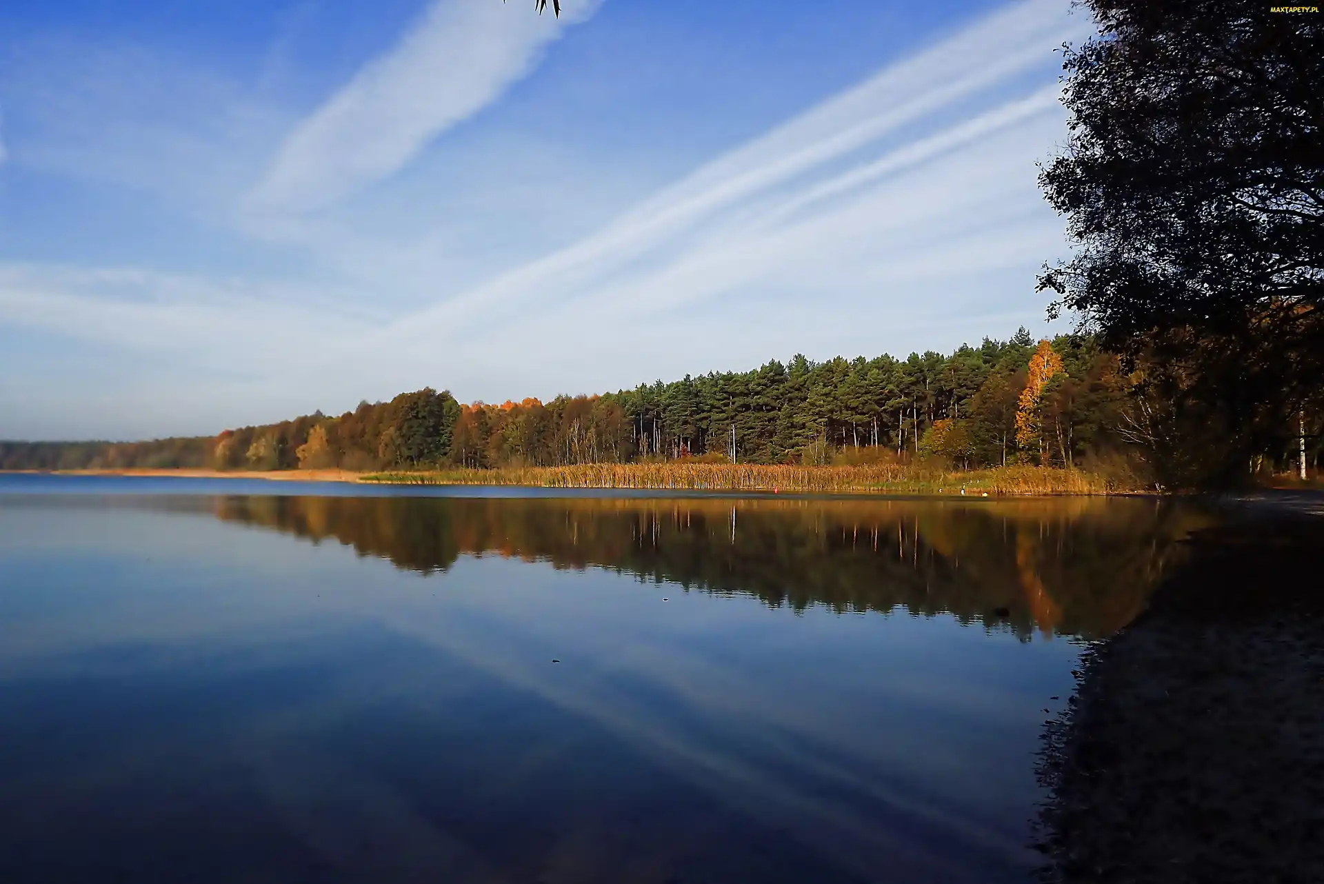 Jesień, Las, Odbicie, Jezioro
